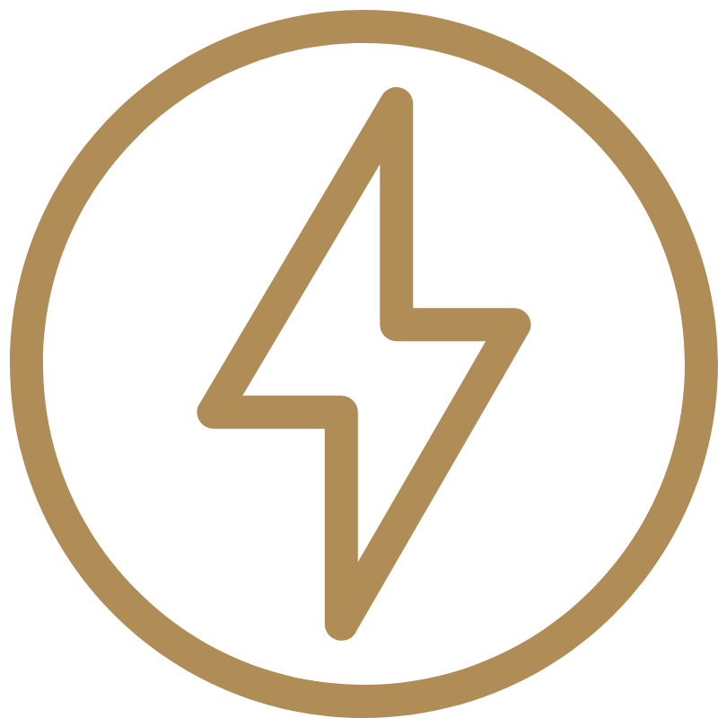 A black circular icon with a gold outline containing a stylized lightning bolt in gold.