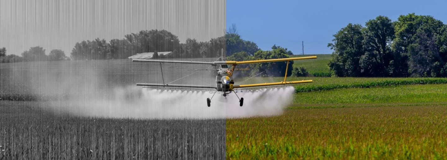 Pesticides Then and Now: Historical perspectives and Contemporary Regulations and Risks