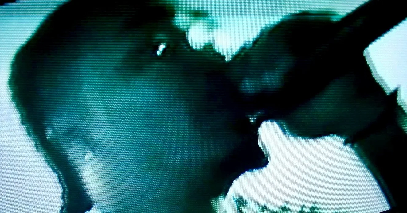 Some visuals for @foundonthemoon