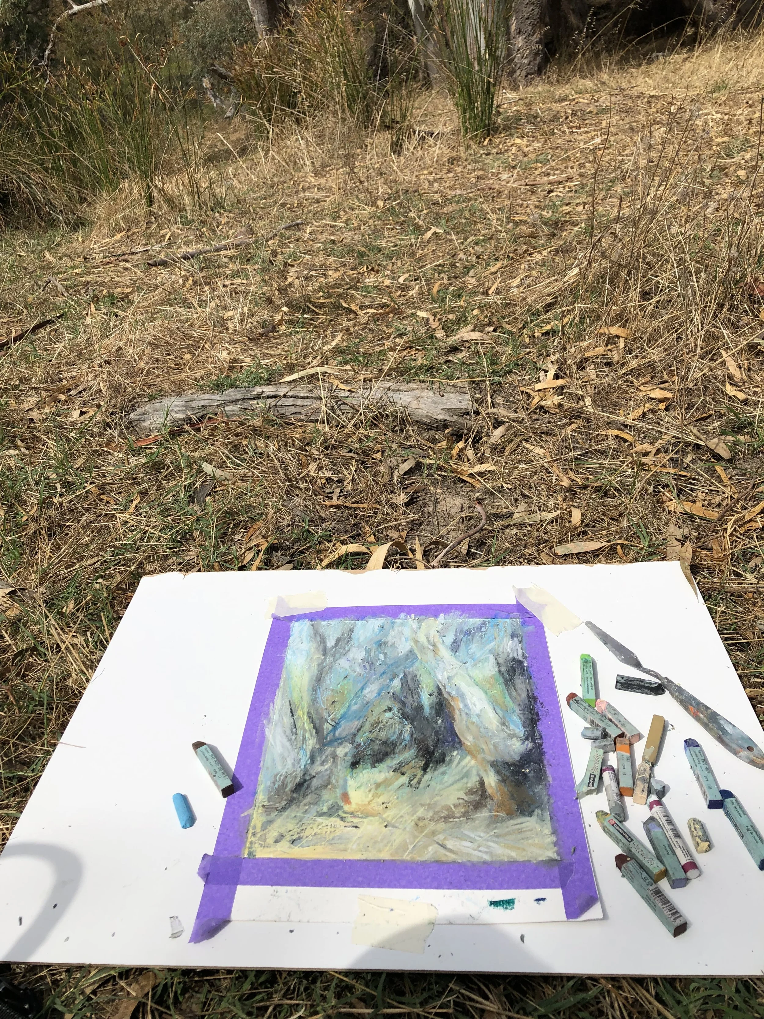 Plein air-oil pastel on paper-Big Gorge.jpg