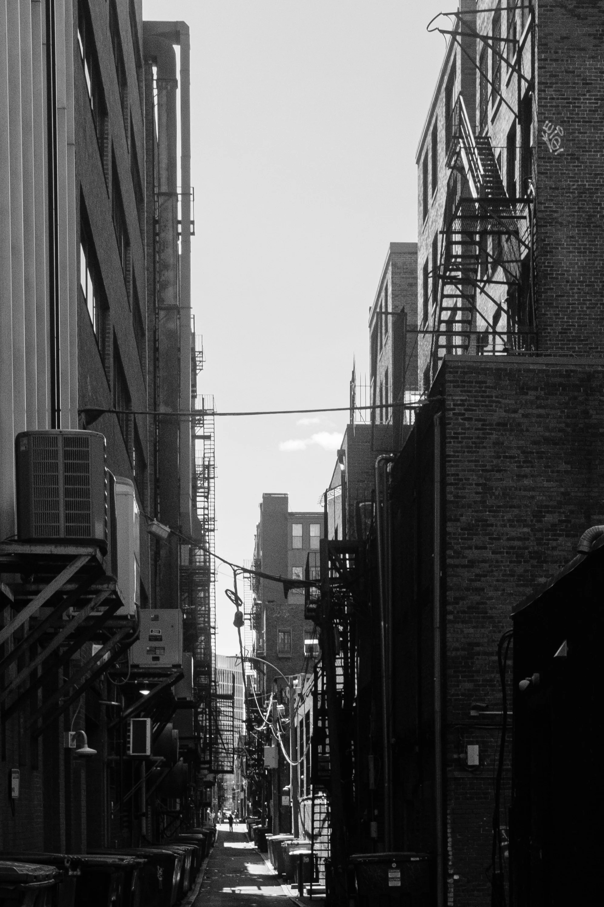 DSCF6184-2.jpg