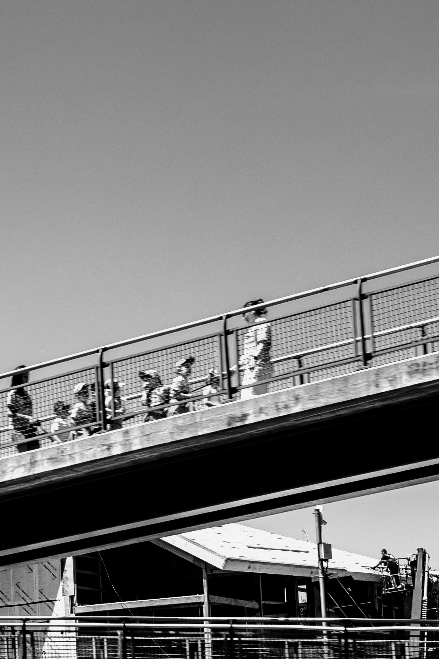 DSCF6347-2.jpg