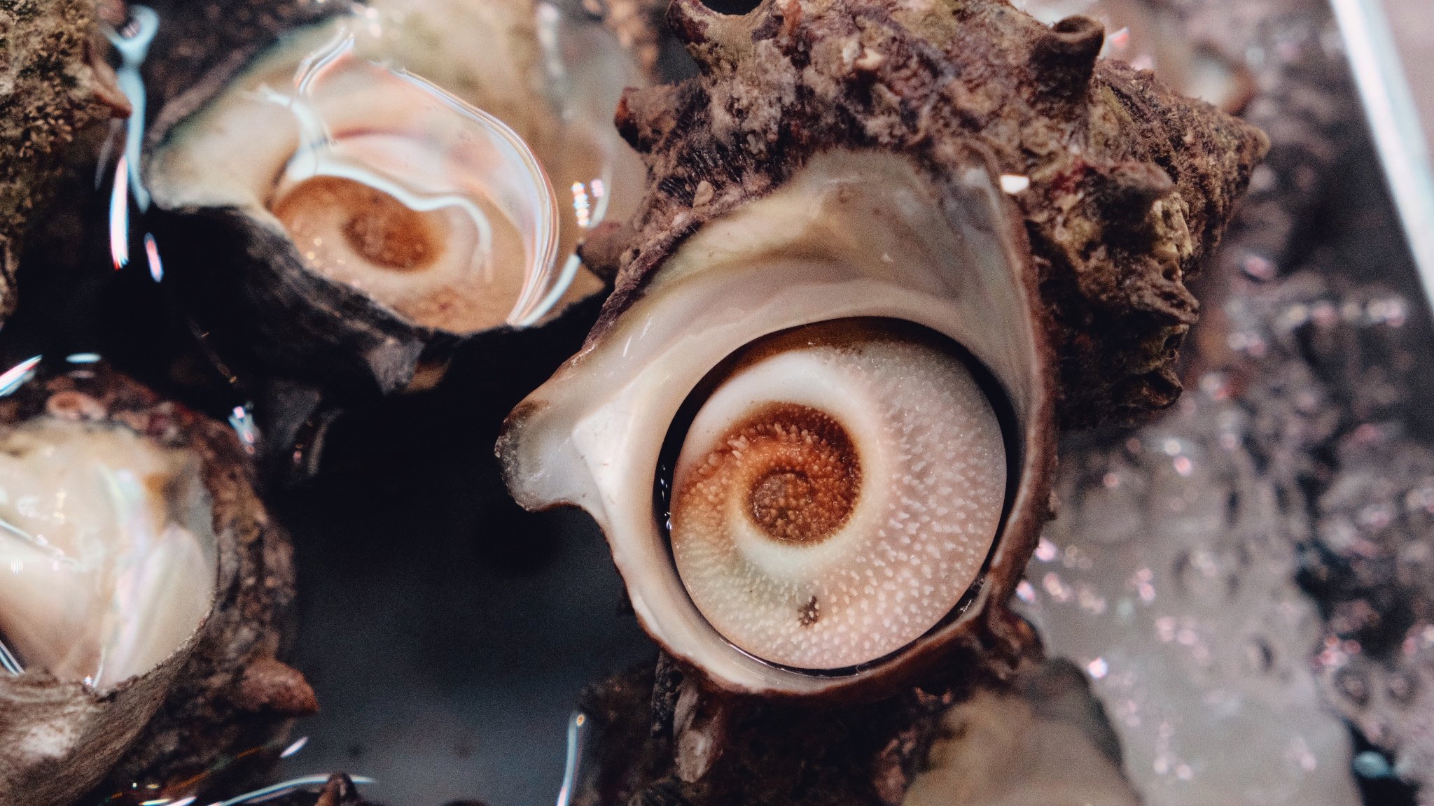 Photo 18-11-2025, 14 09 30.jpg