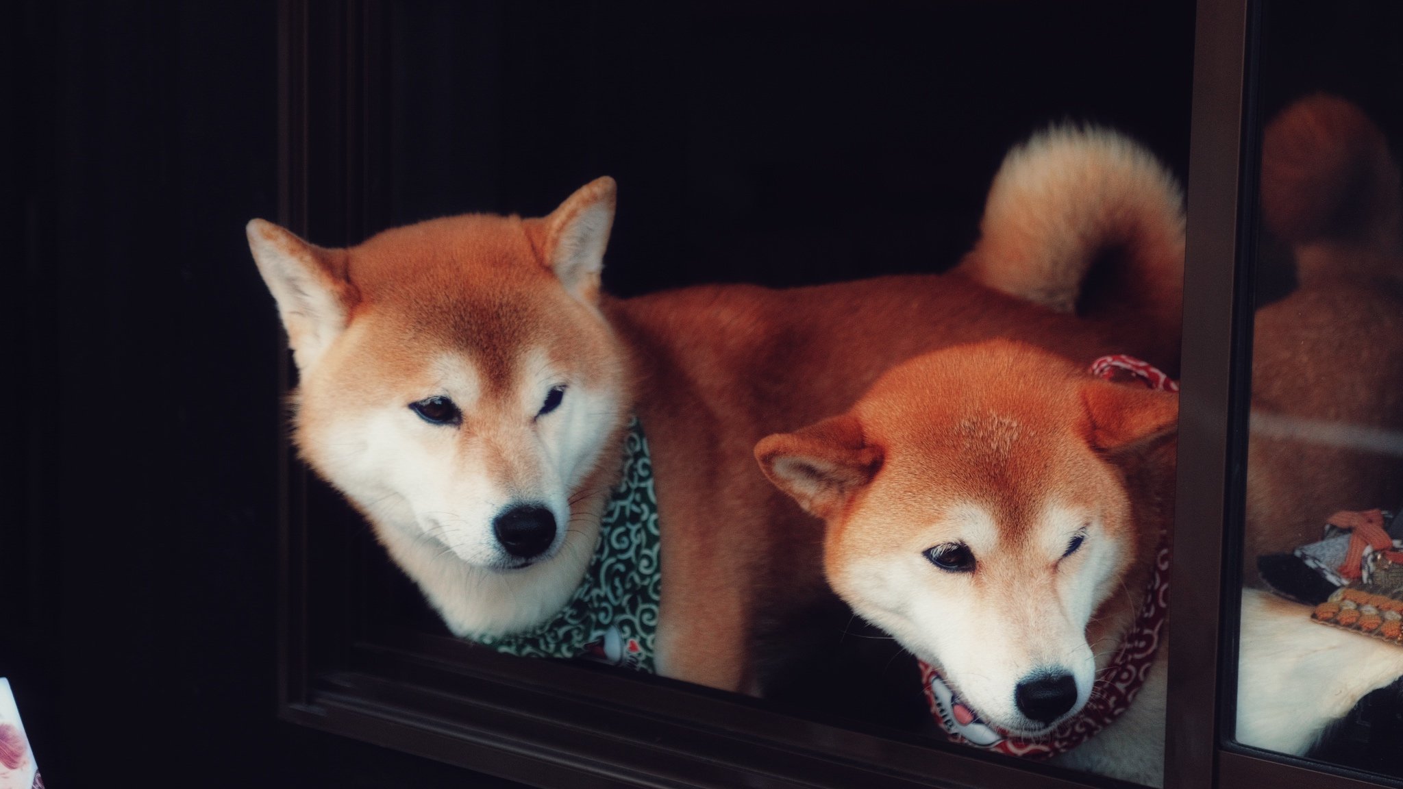 Photo 15-11-2025, 13 53 14 (1).jpg