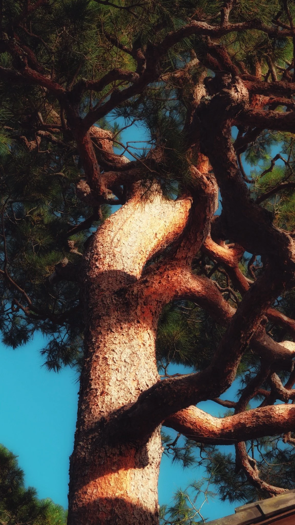 Photo 16-11-2025, 07 44 27 (1).jpg