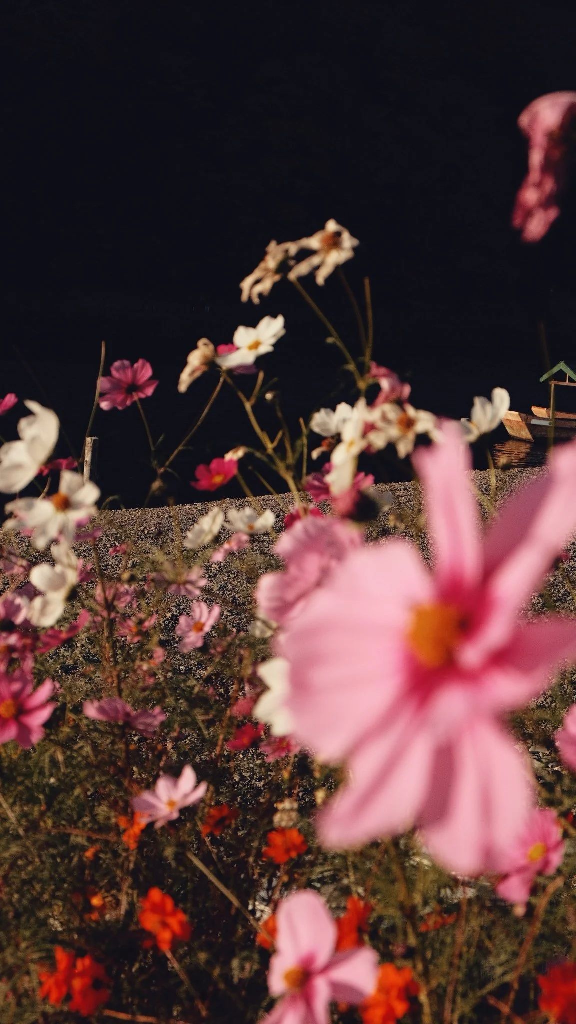 Photo 16-11-2025, 07 49 39 (1).jpg