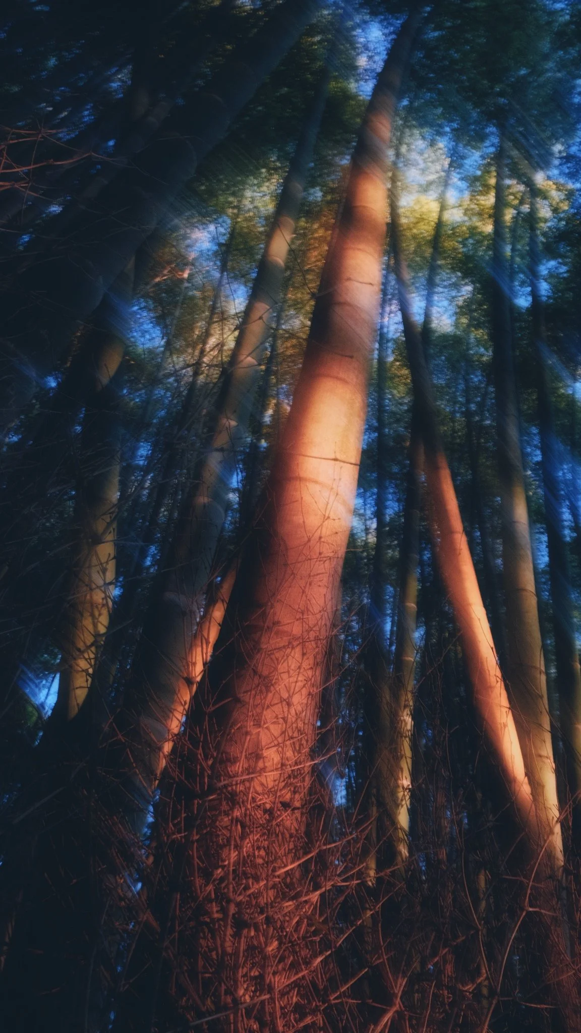 Photo 16-11-2025, 06 51 23.jpg