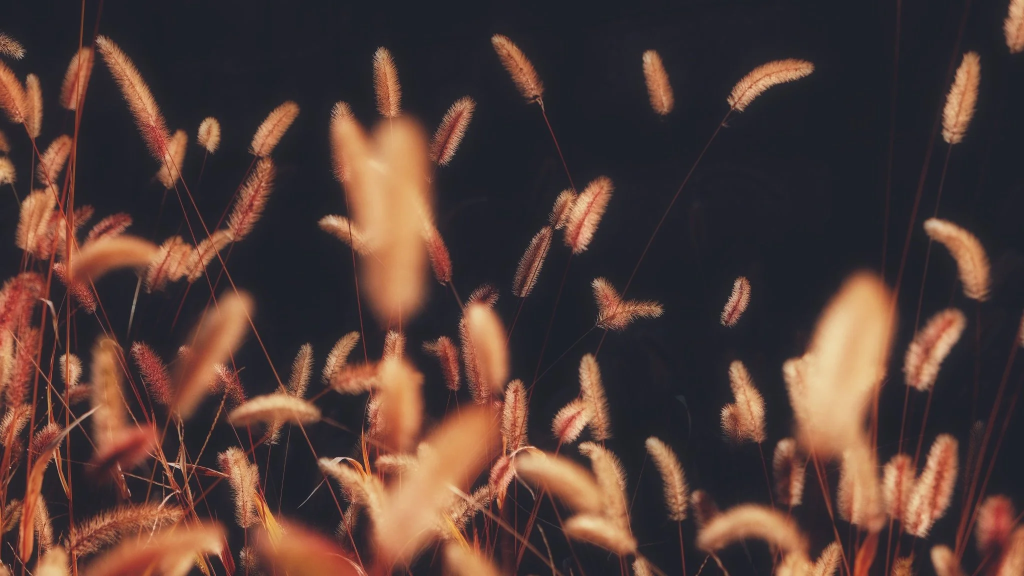 Photo 16-11-2025, 11 57 39 (1).jpg