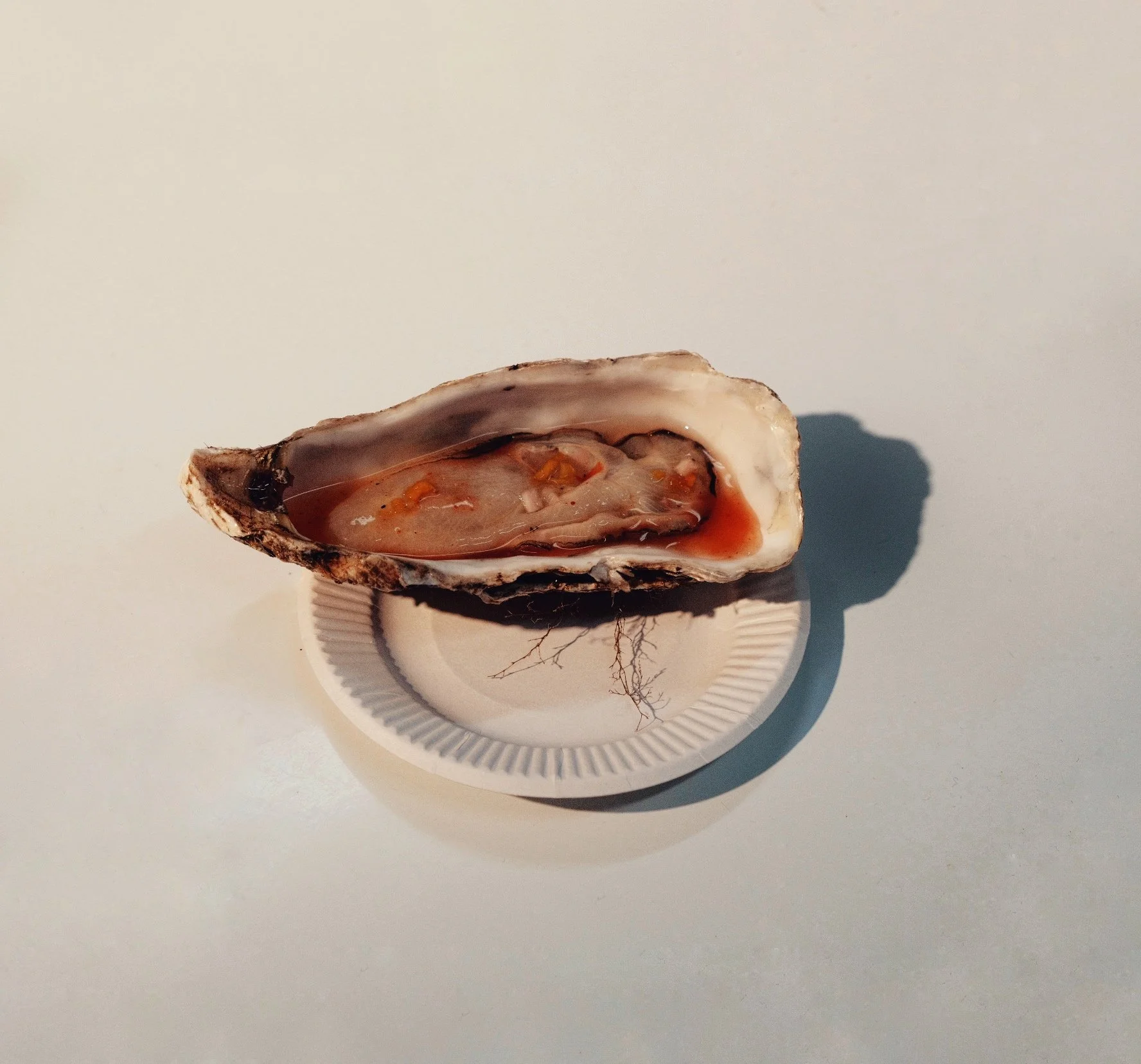 Photo 23-11-2025, 12 13 02.jpg