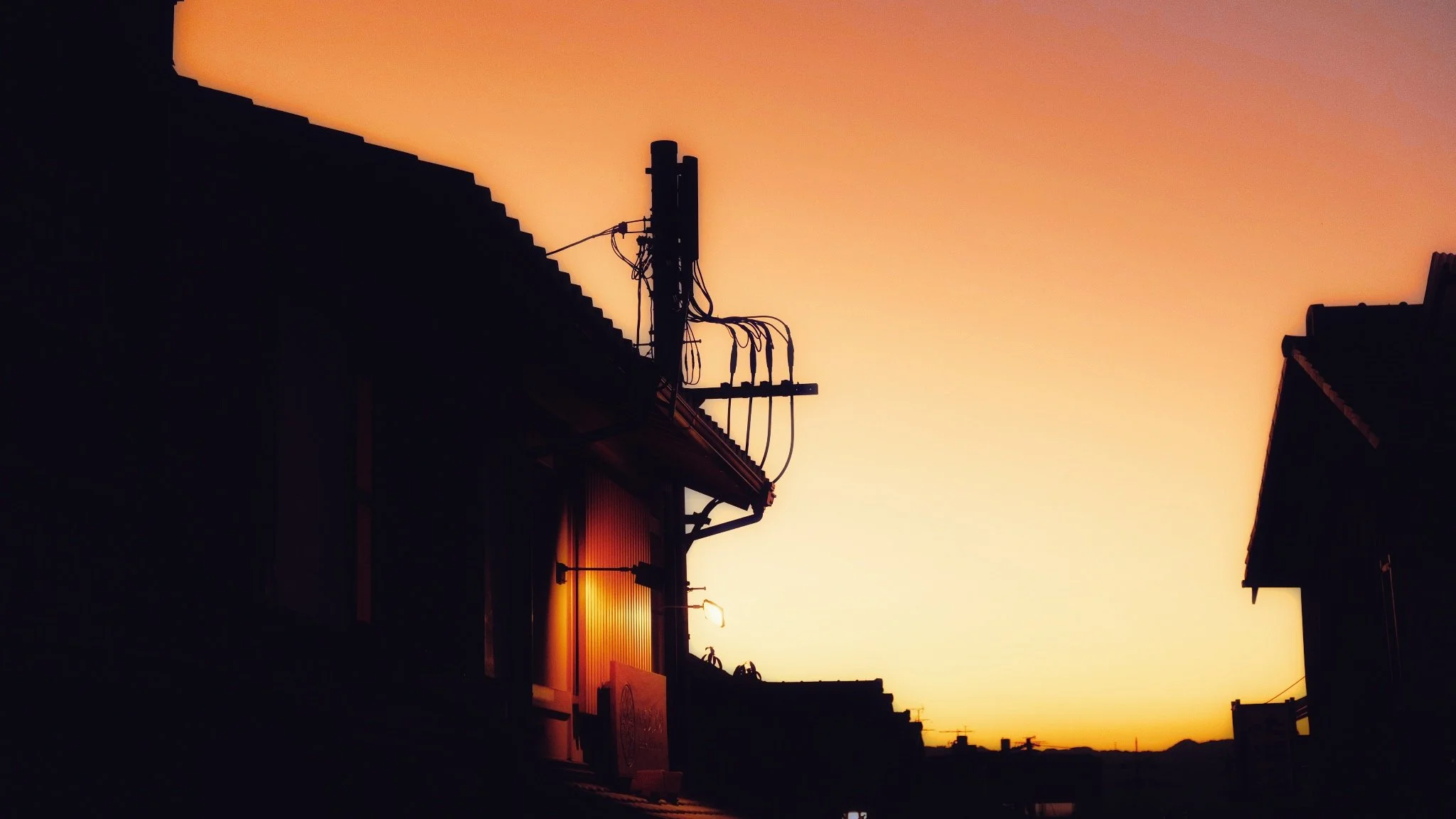 Photo 15-11-2025, 17 11 56.jpg