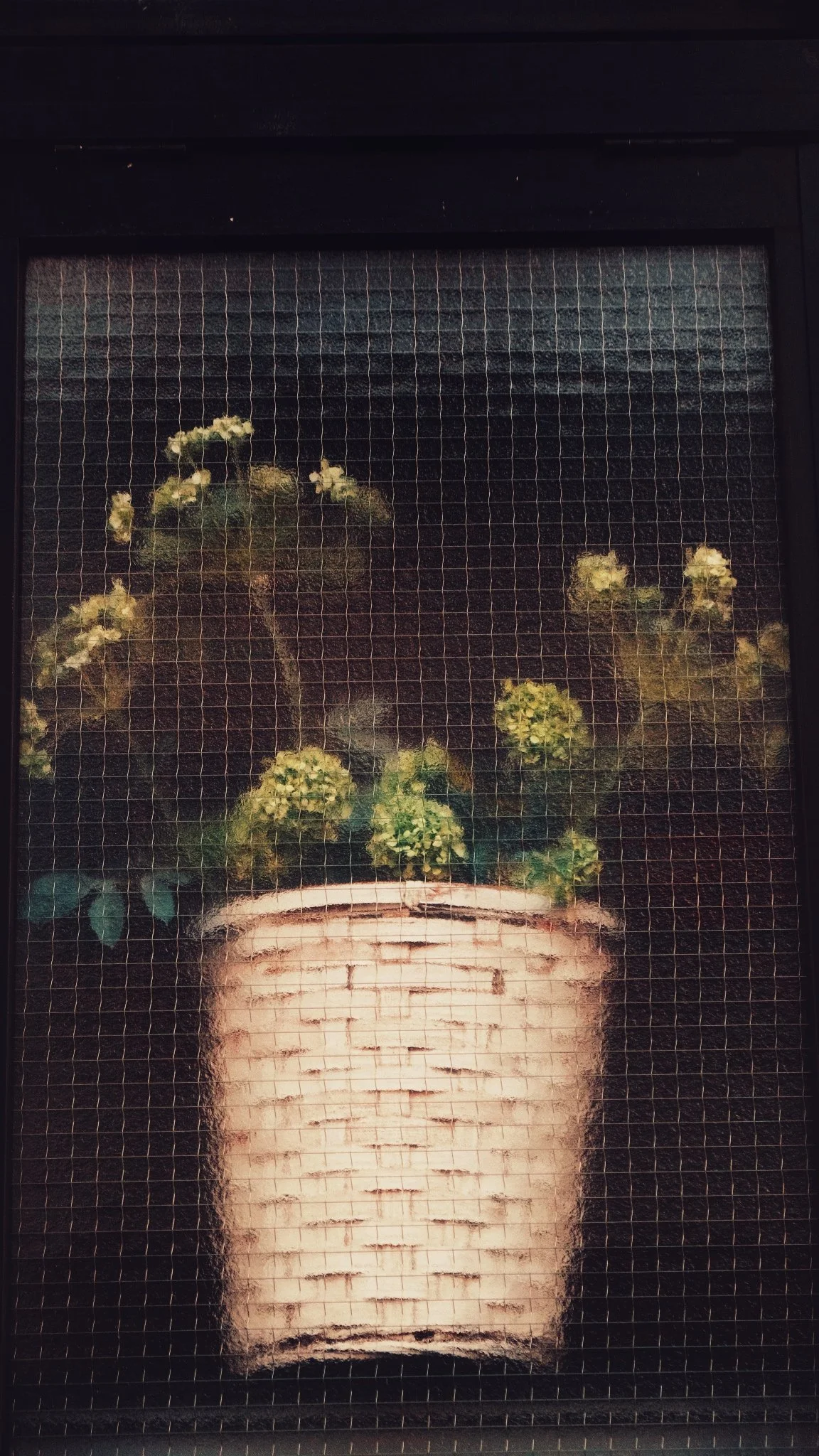 Photo 16-11-2025, 16 00 11.jpg