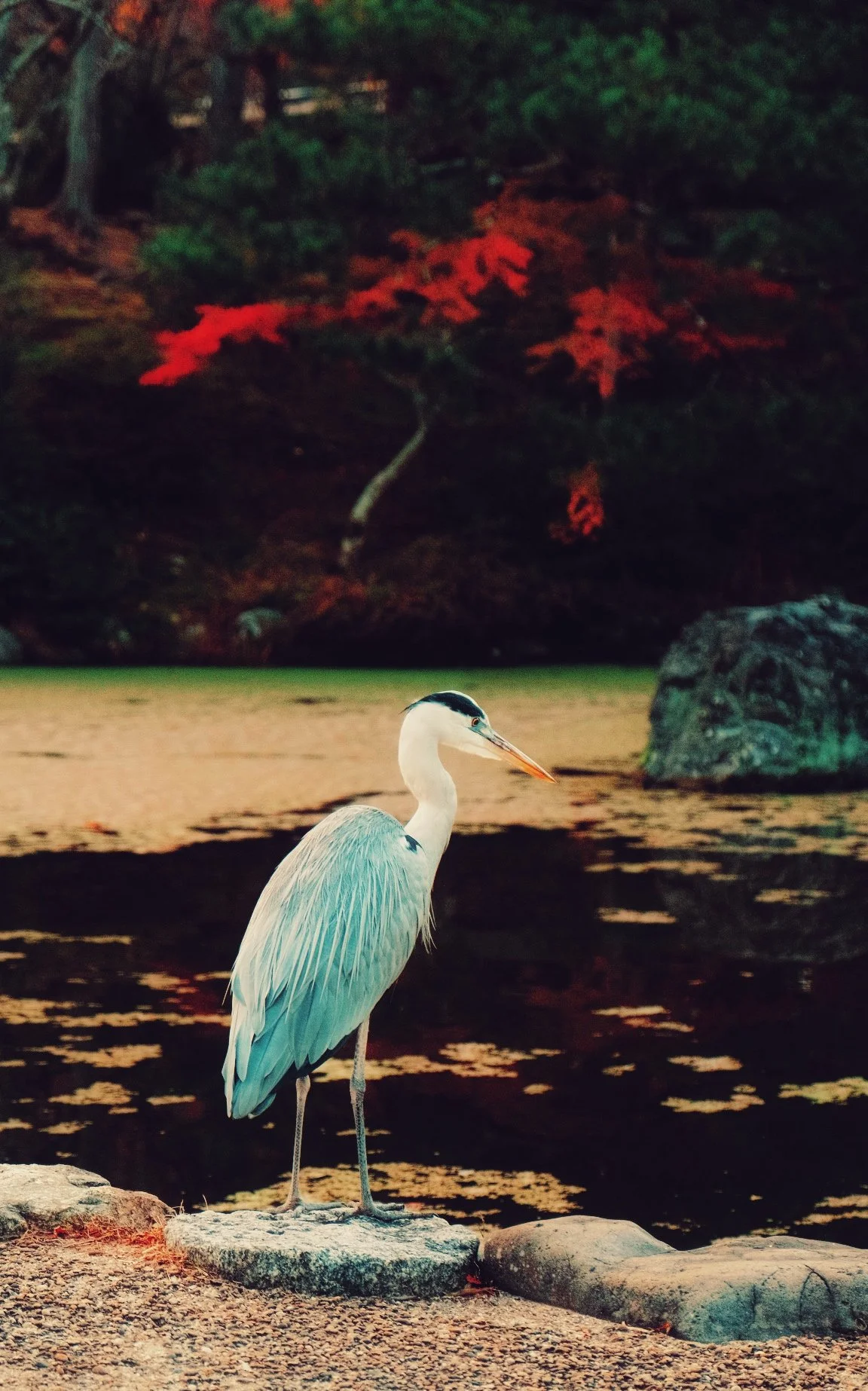 Photo 17-11-2025, 06 58 35.jpg