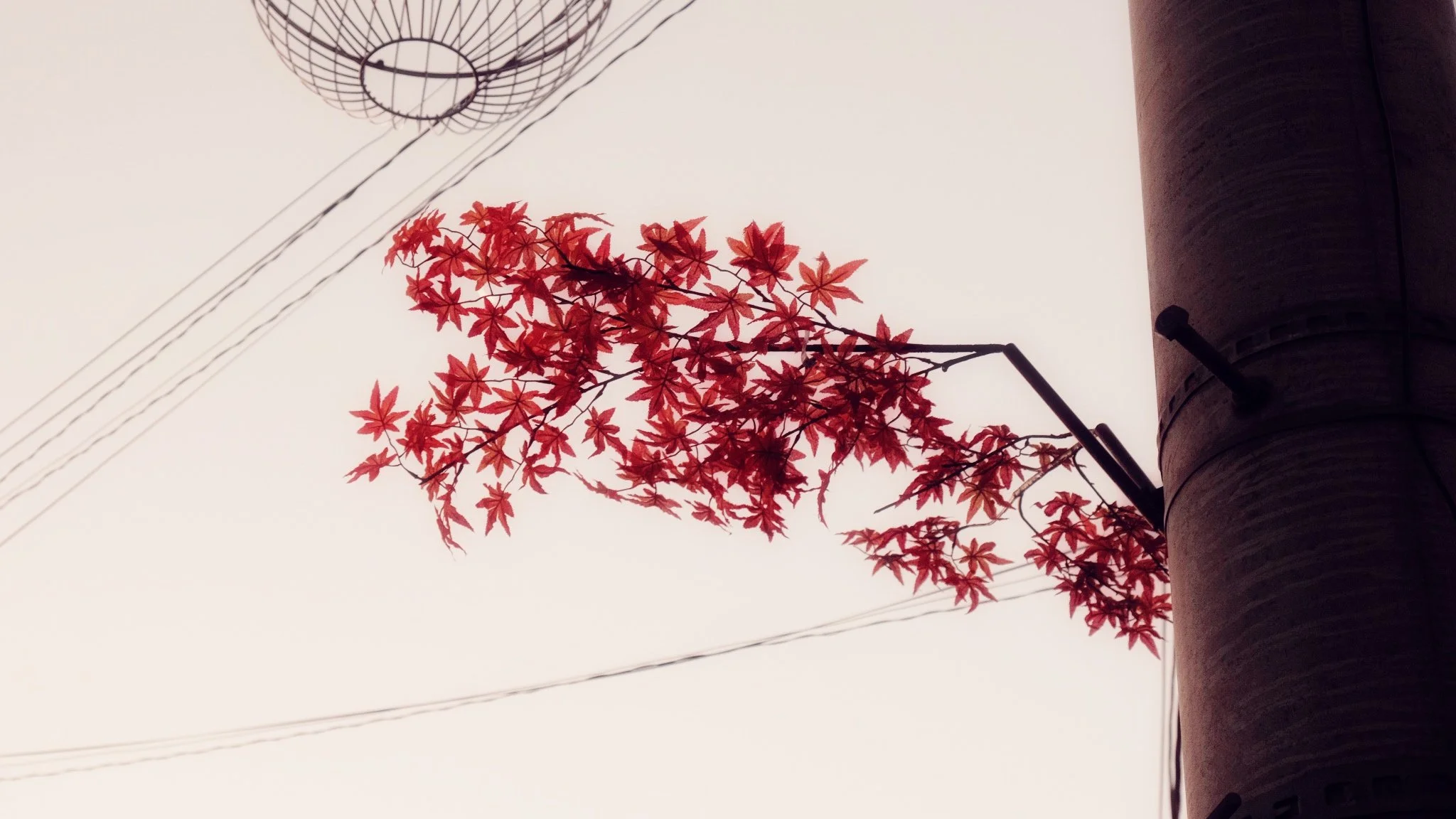 Photo 16-11-2025, 06 26 23.jpg