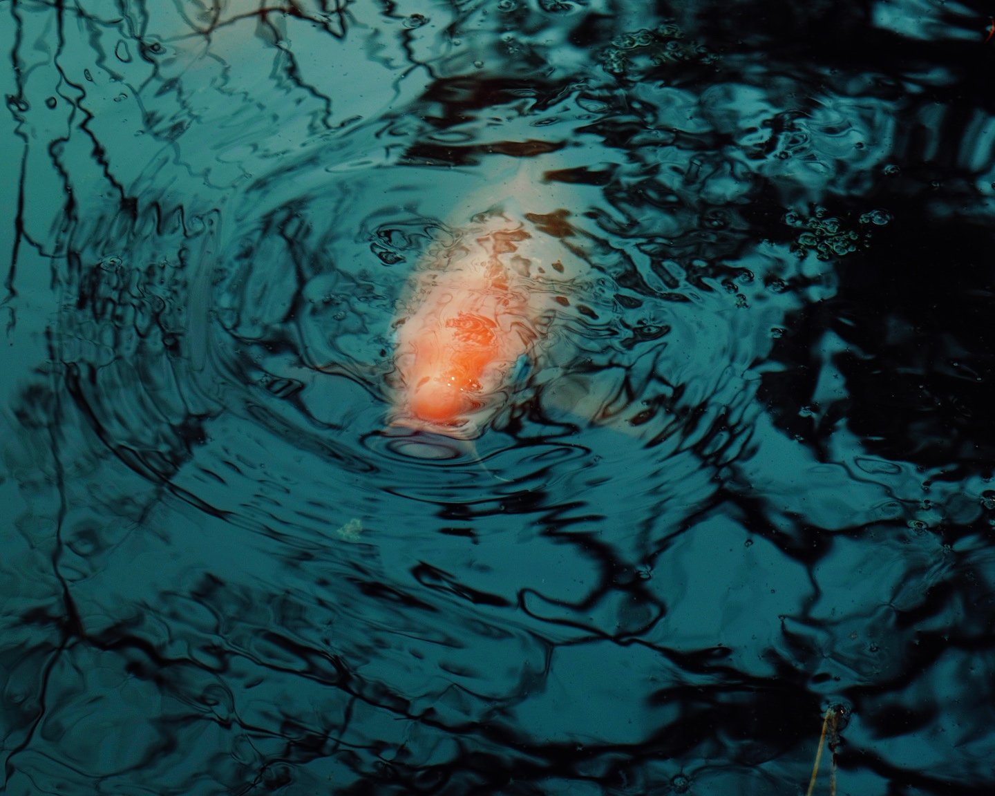 Photo 17-11-2025, 11 02 48 (4).jpg