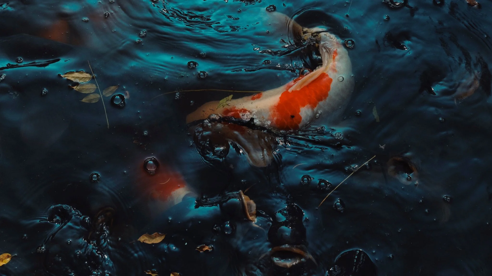 Photo 17-11-2025, 11 09 31.jpg