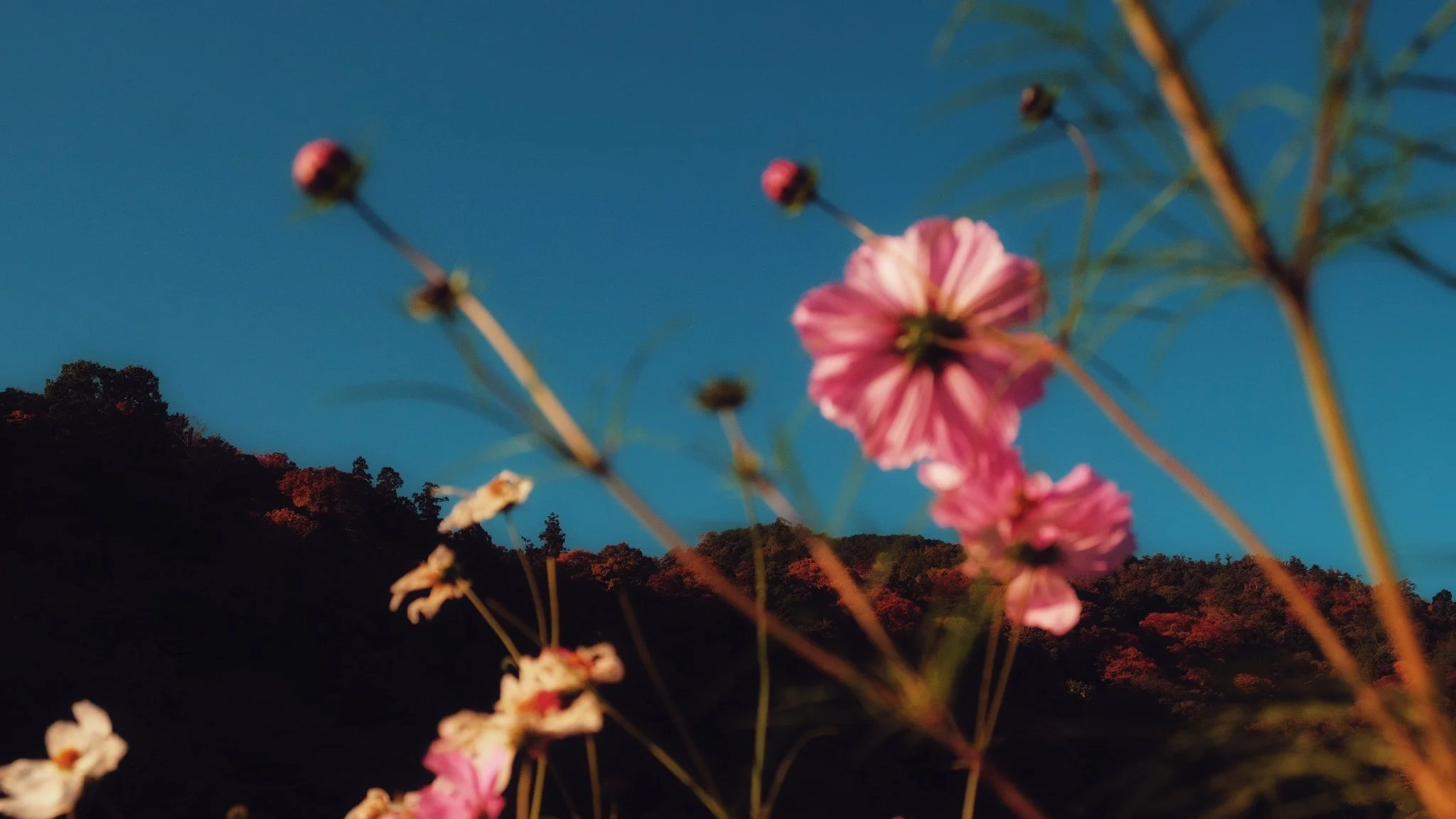 Photo 16-11-2025, 07 49 56 (1).jpg