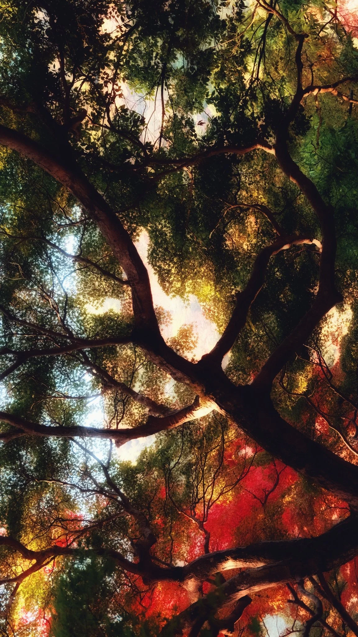 Photo 16-11-2025, 07 18 45 (1).jpg