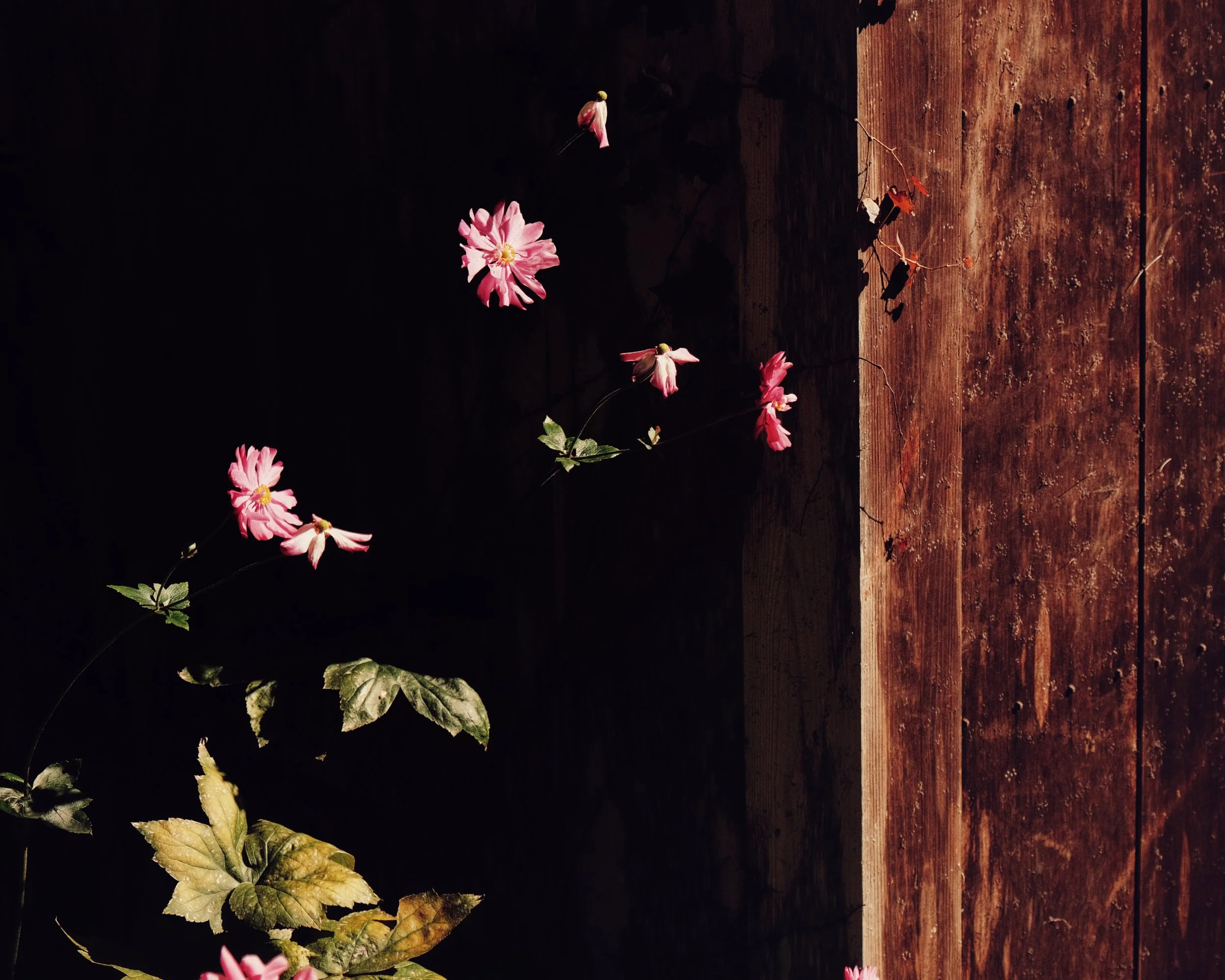 Photo 16-11-2025, 11 04 22.jpg