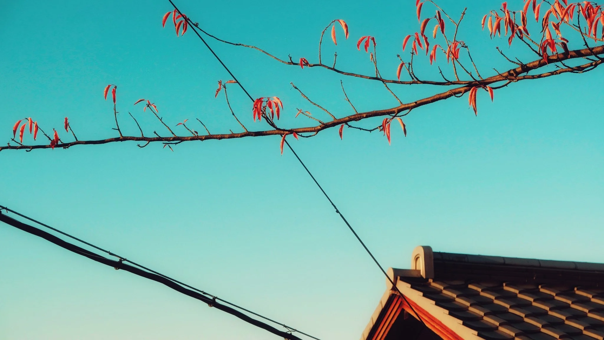 Photo 15-11-2025, 16 08 36 (1).jpg