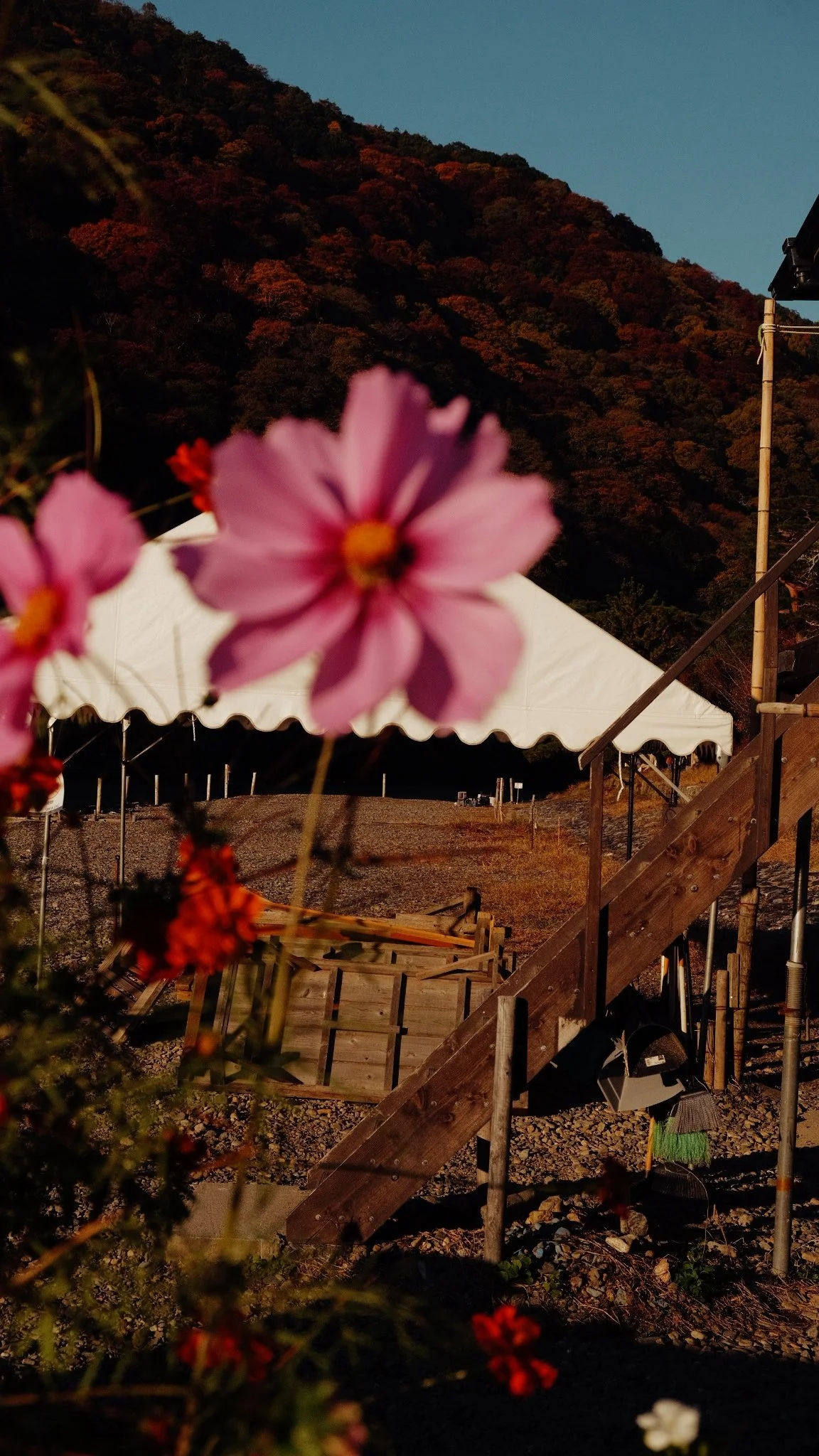 Photo 16-11-2025, 07 50 18.jpg