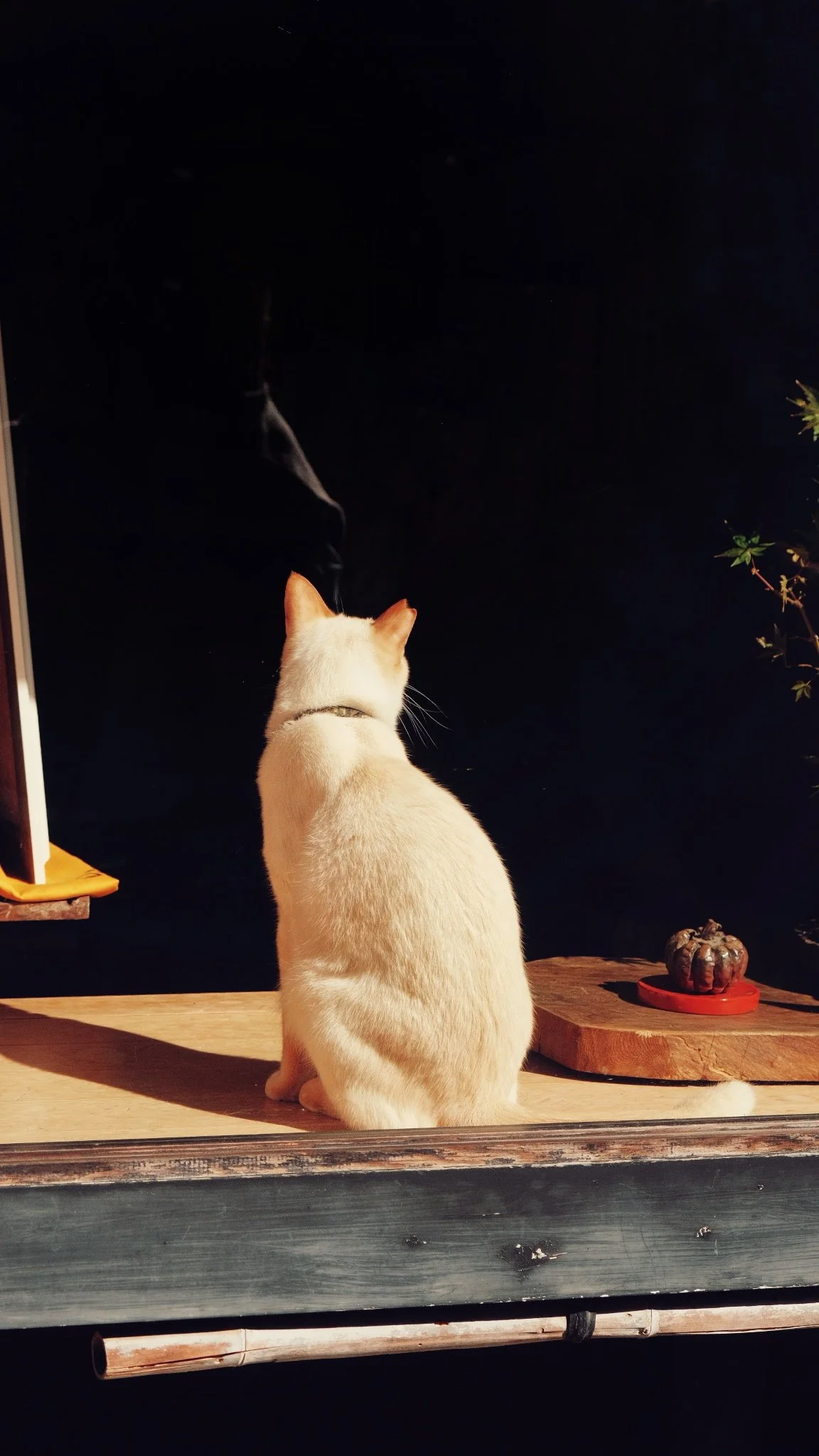 Photo 16-11-2025, 11 32 05 (2).jpg