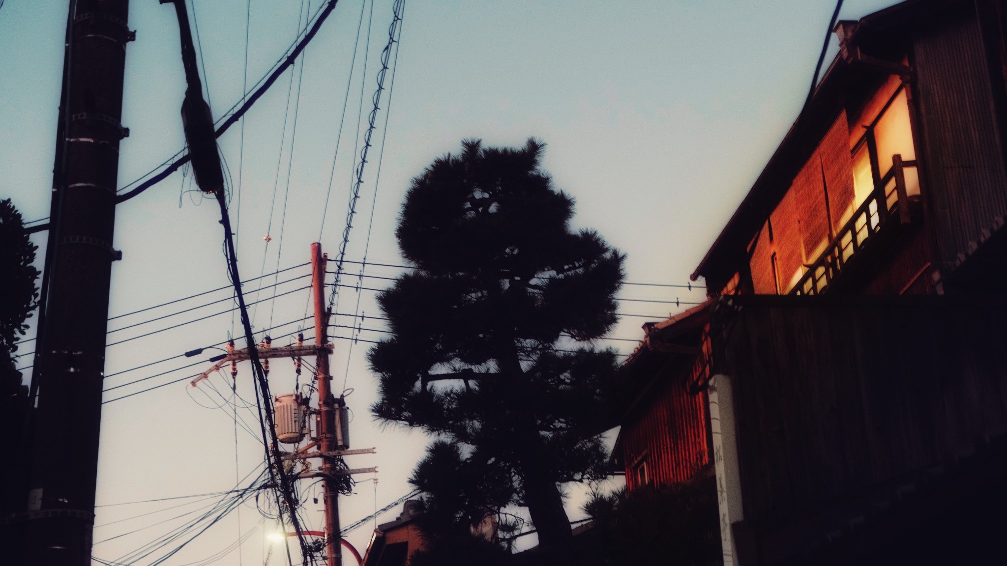 Photo 15-11-2025, 17 15 04.jpg