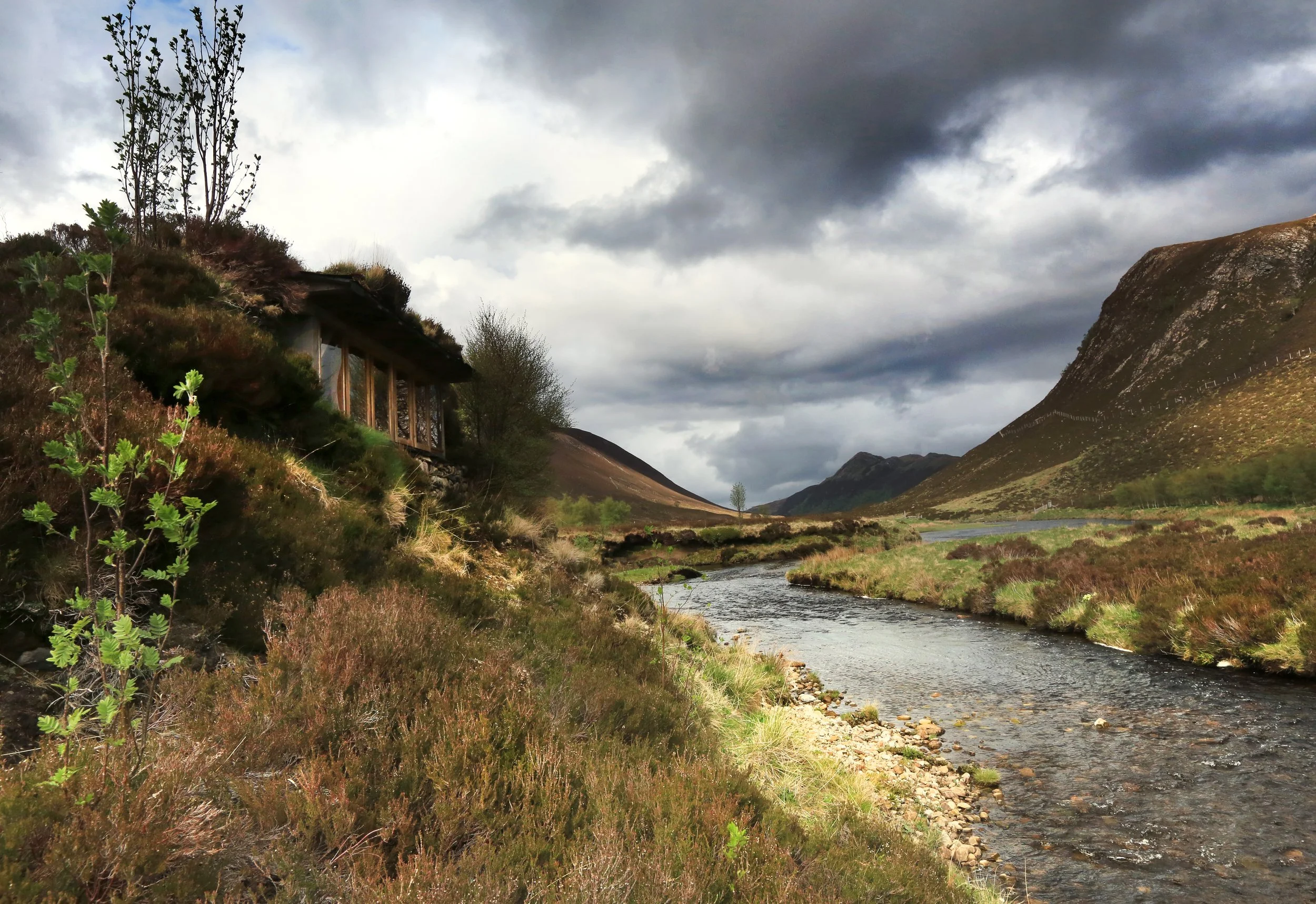 AWR Badger Hide_6G2C3088.jpg