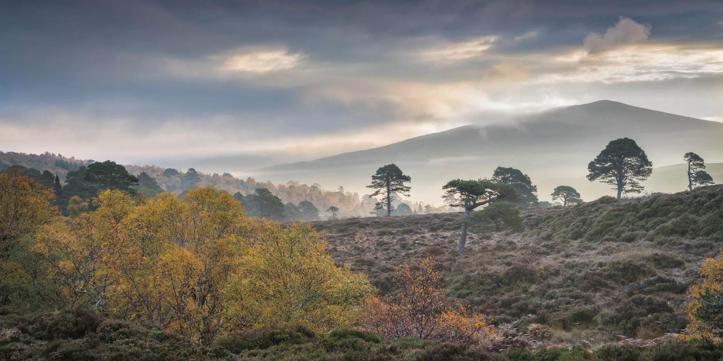 AWR Alladale Landscape - 1.jpg