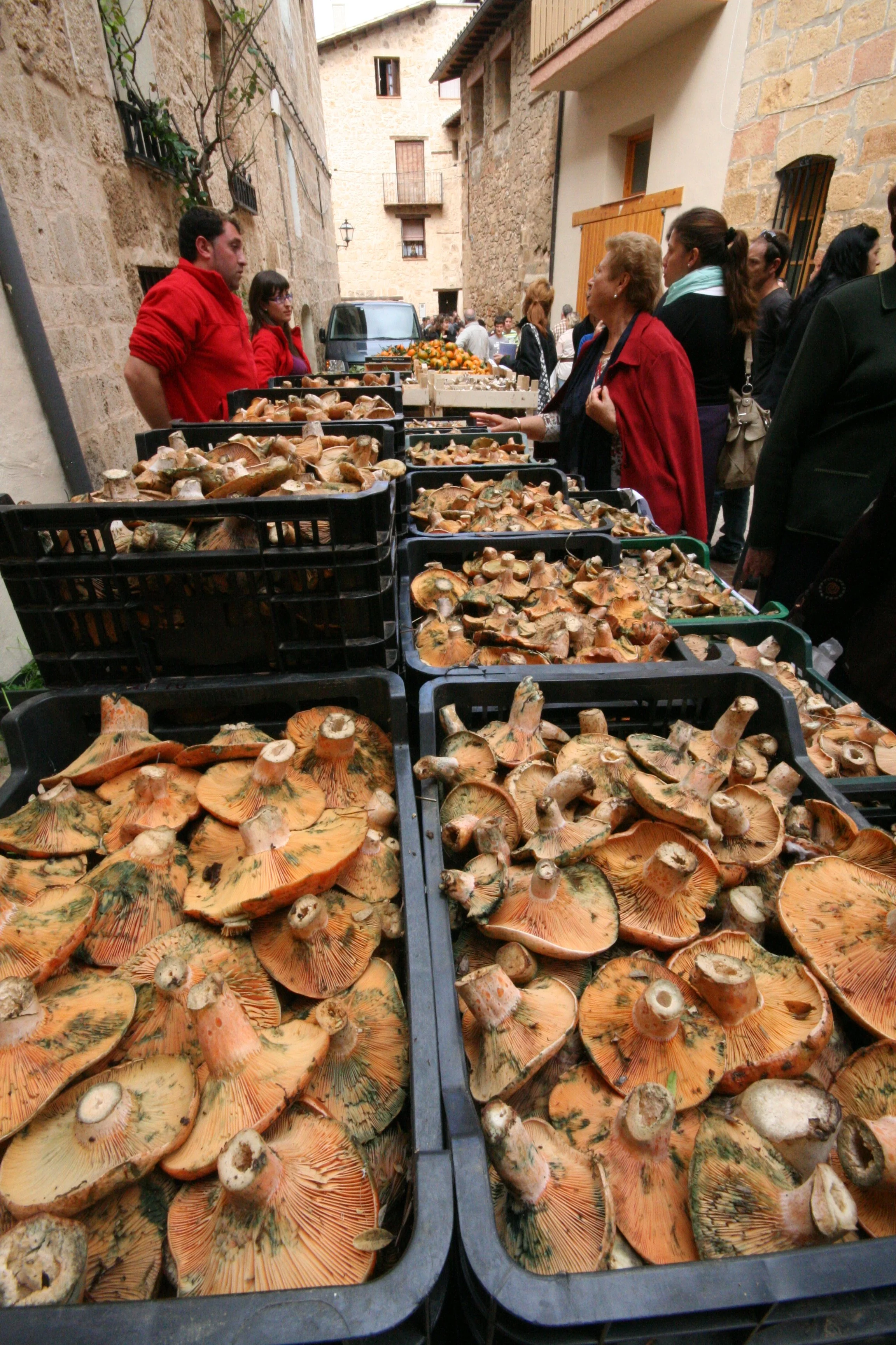 mushroom festival.jpg