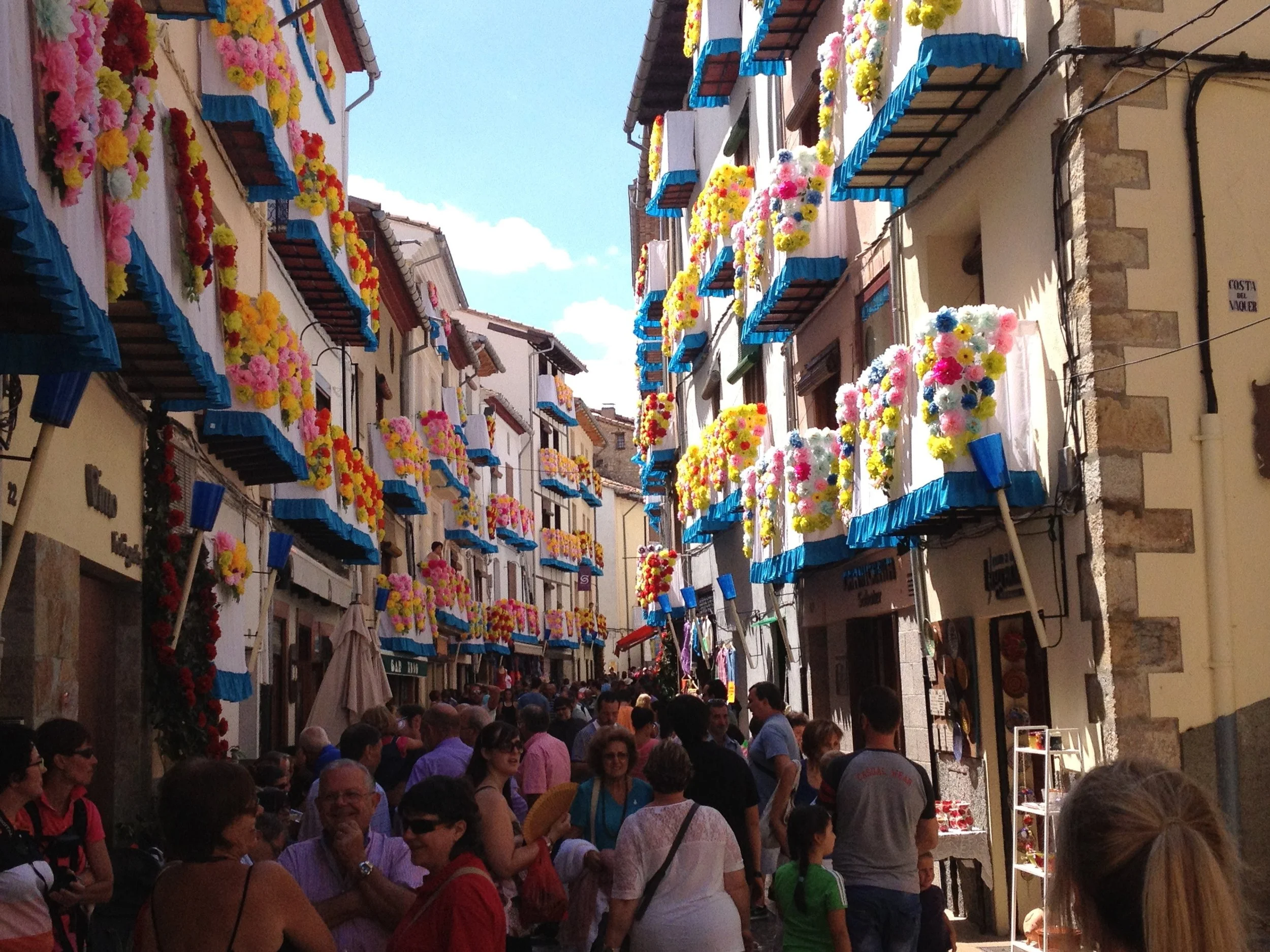 morella sexenni.JPG