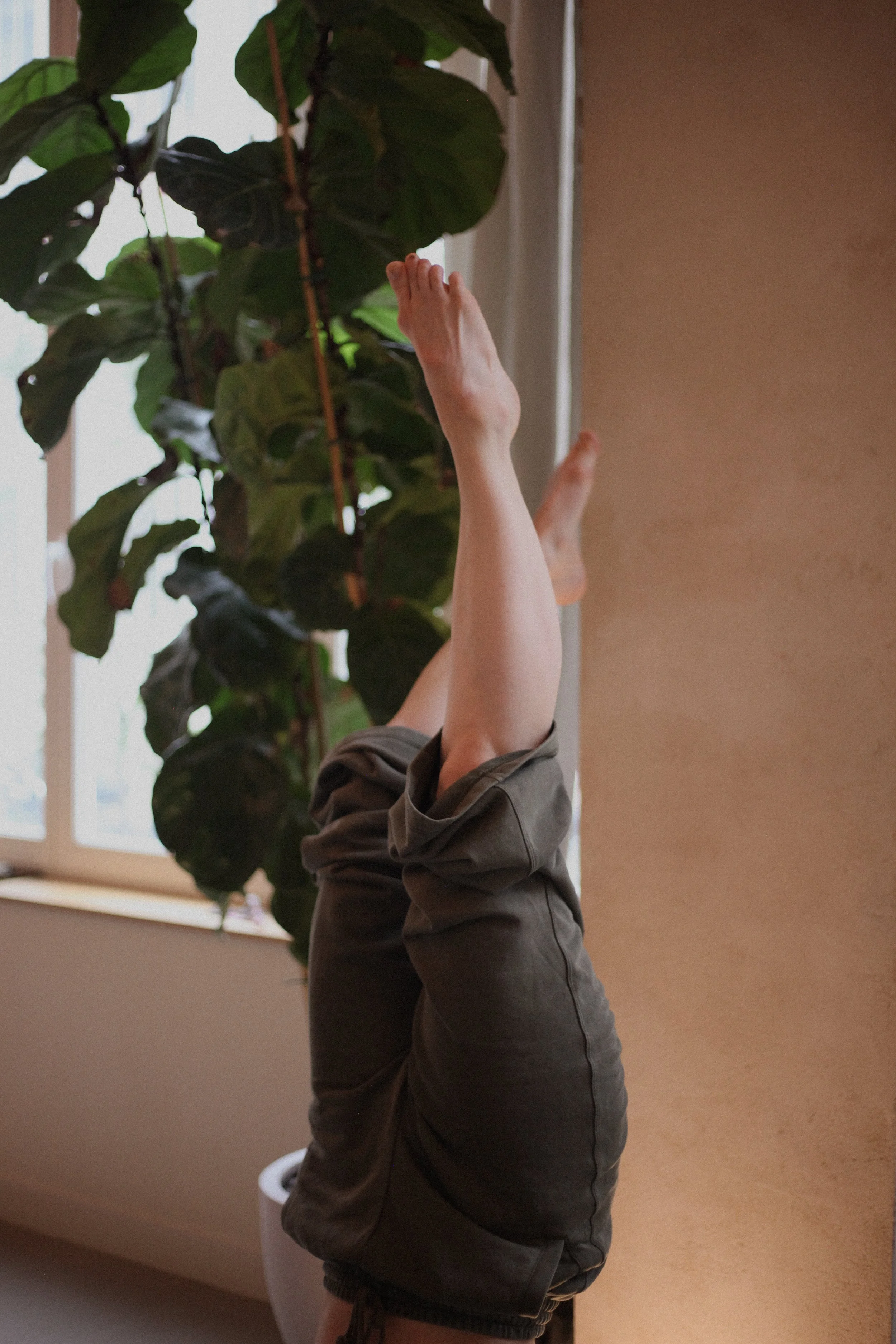 cours de yoga, cours d'inversion à Paris