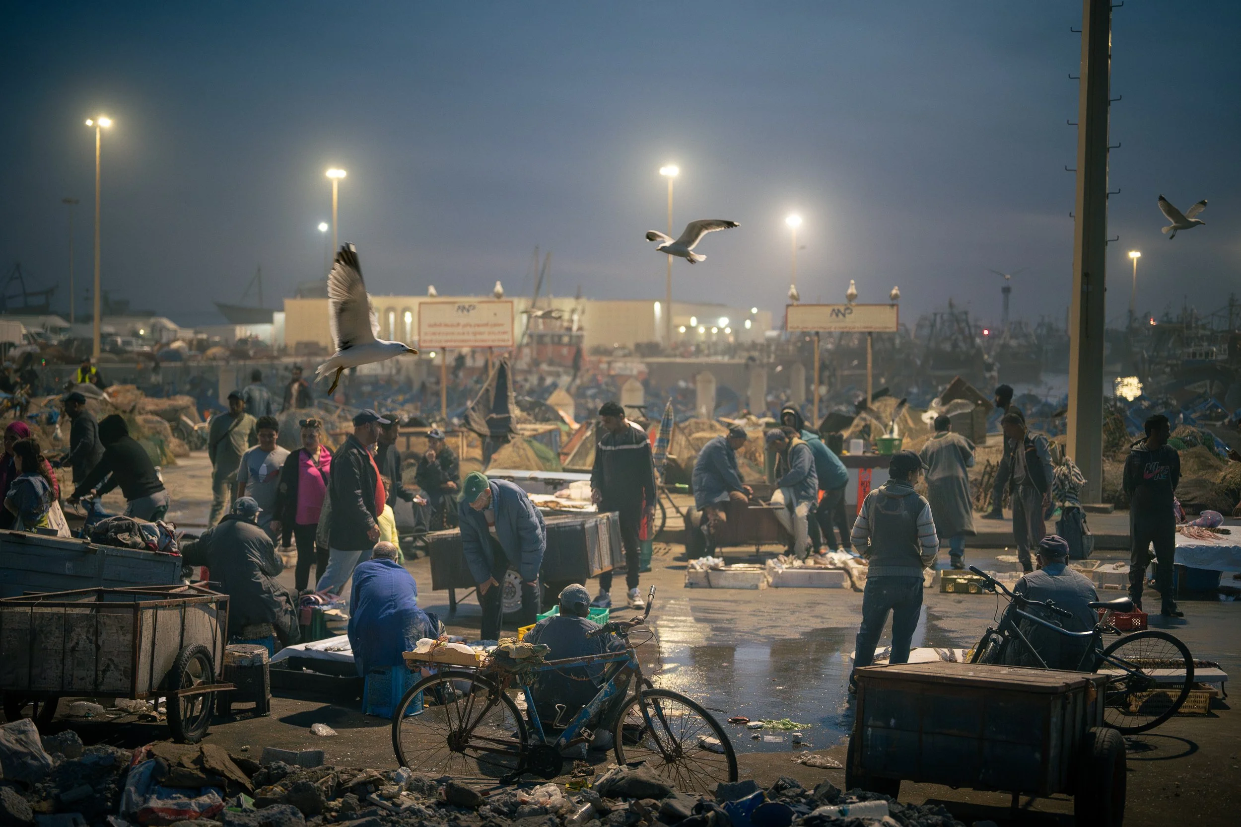 _DSC2379-celine-ravier-Essaouira.jpg