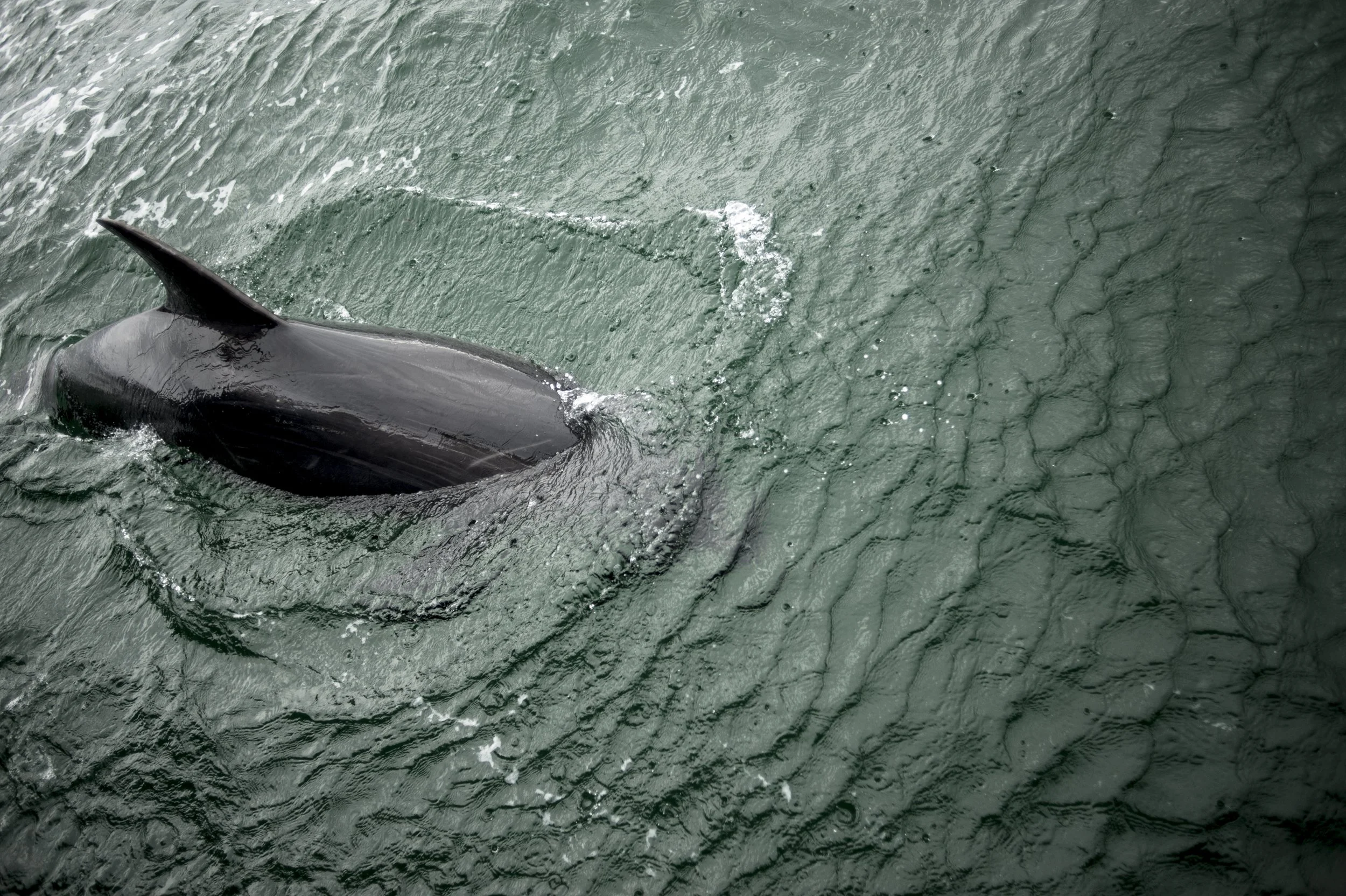 inishmore.CELINE RAVIER3.jpg