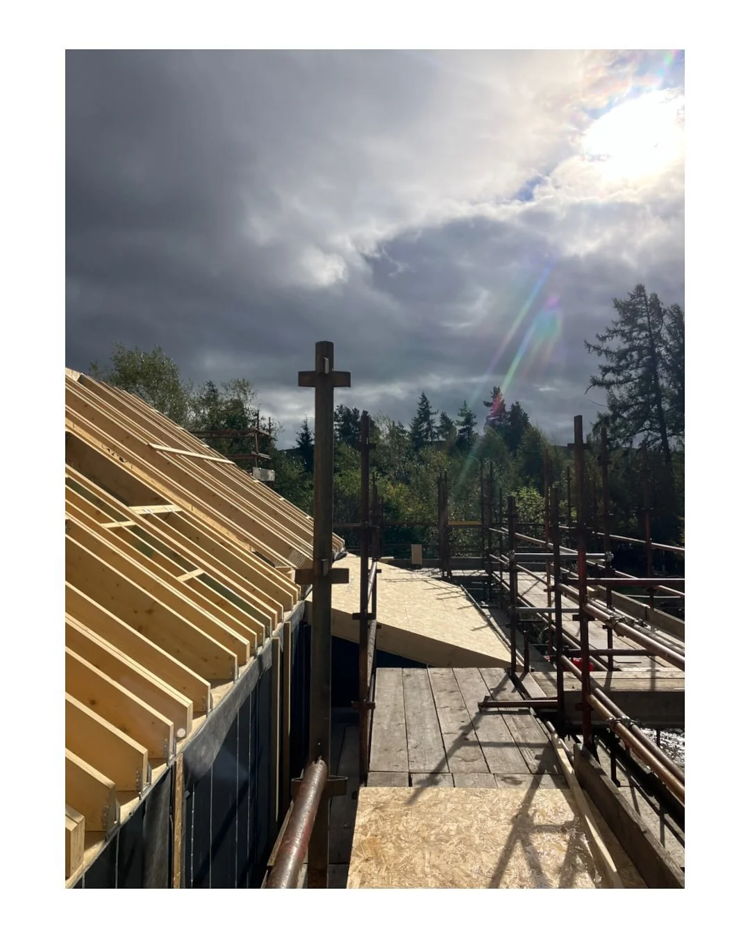 Over the past few weeks, the prefabricated cassette wall panels and timber roof have been craned in and erected on site. It&rsquo;s been great to climb the scaffolding and see the trusses against the surrounding trees. 

The next few weeks will see t