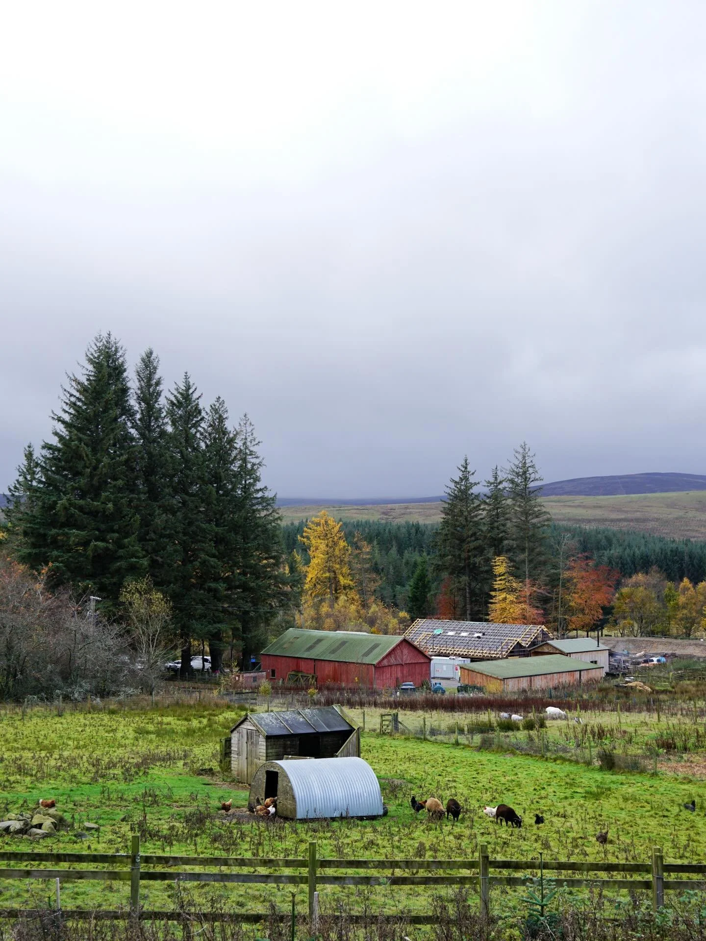 Some progress photos of the roof installation for our community barn @corbeniccamphillcommunity 

The first image shows how nicely the barn sits within the farmyard setting. It&rsquo;s coming on nicely, photos of the red roof finish coming soon!

Com