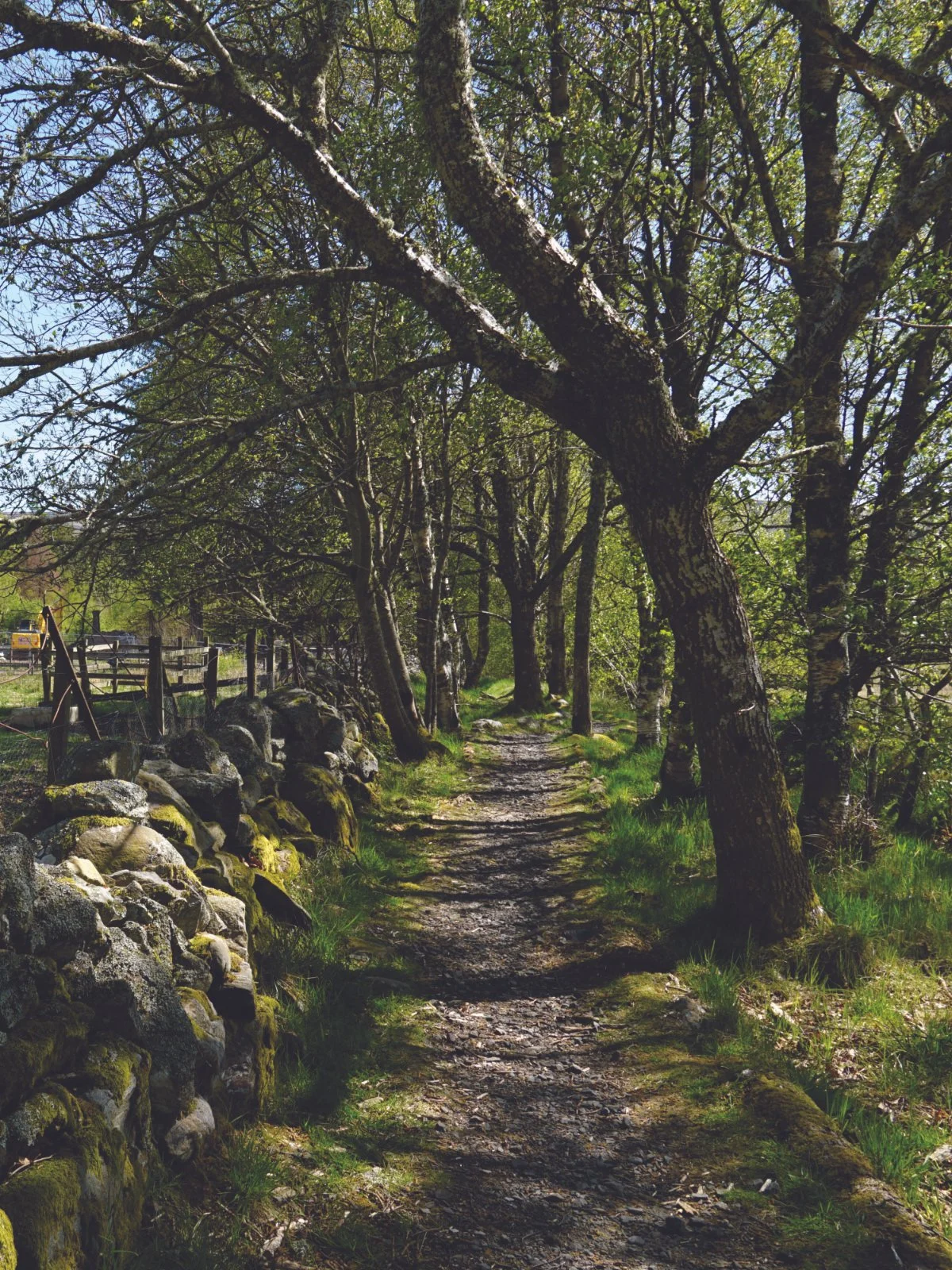 Values : Nature and Family