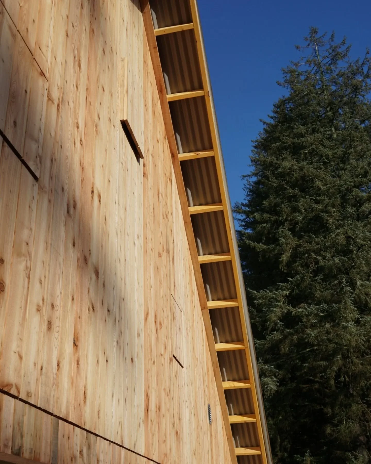 The community barn for @corbeniccamphillcommunity replaces a dilapidated farm building. It was no longer functional for the humans on site but it made a great habitat for bats, birds and owls.

A key part of our design has been trying to recreate the