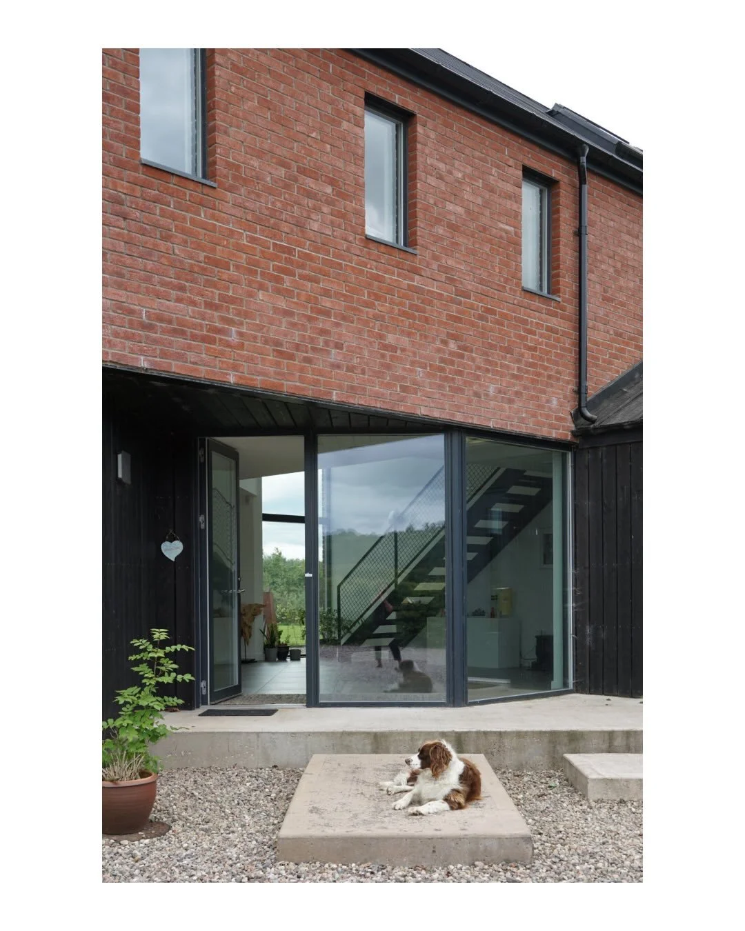 A site visit is always more fun with animals! 

This contemporary property in rural Perthshire is now fully bedded into its surroundings. It was great to revisit this project, and to see its residents, including the chickens, and especially Brodie th