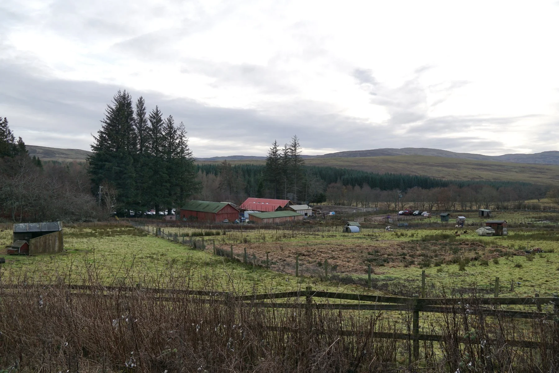 DSC05590 edit web.jpg