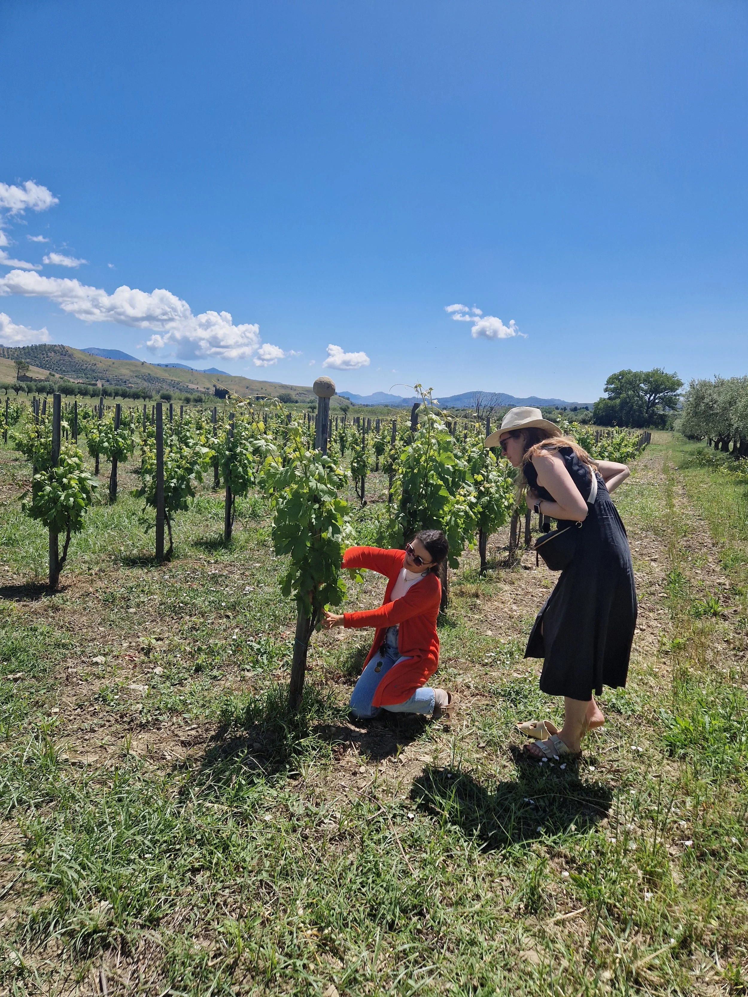 Coworking &amp; Sicilian Wines Week