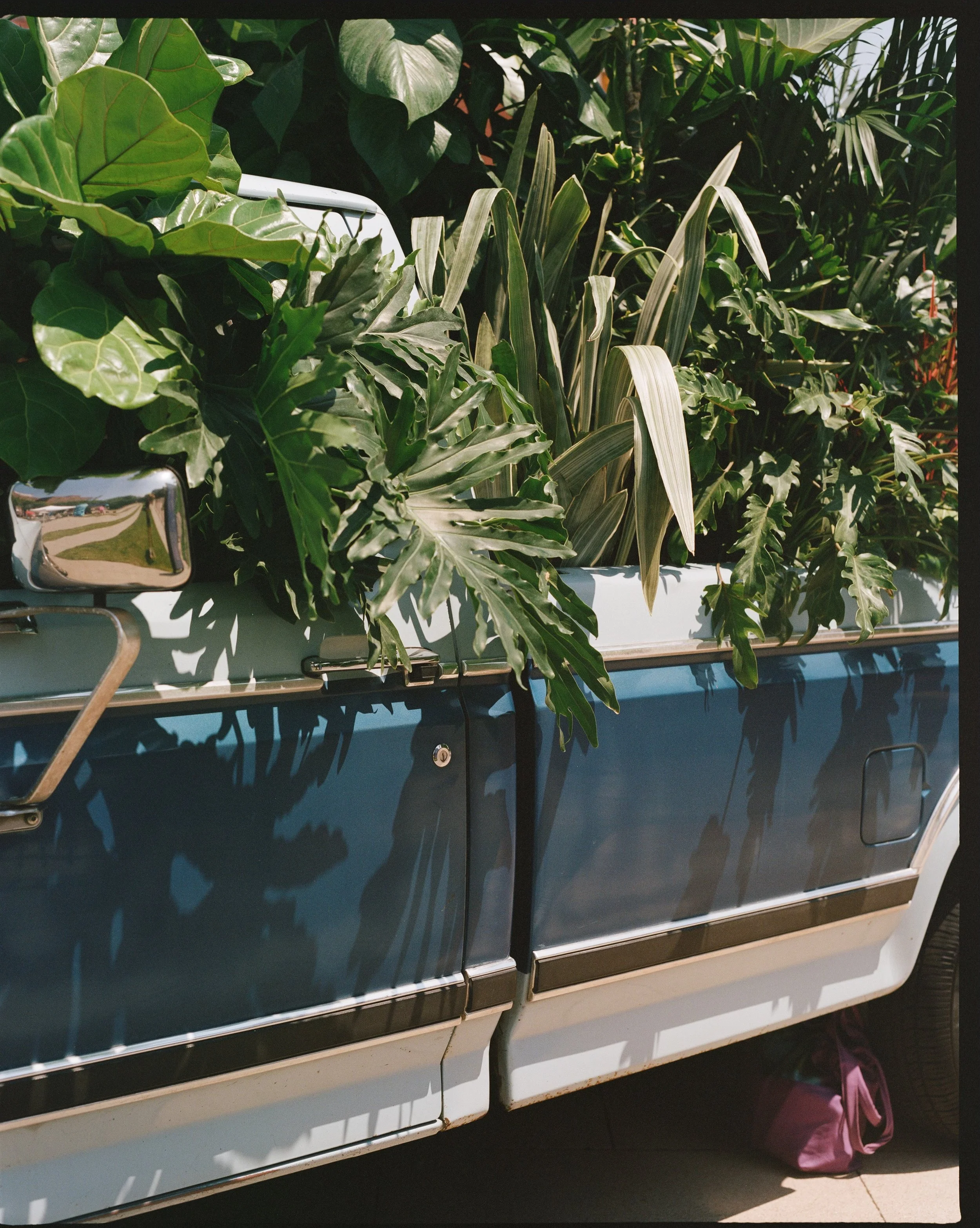 000240360005 copy.jpeg