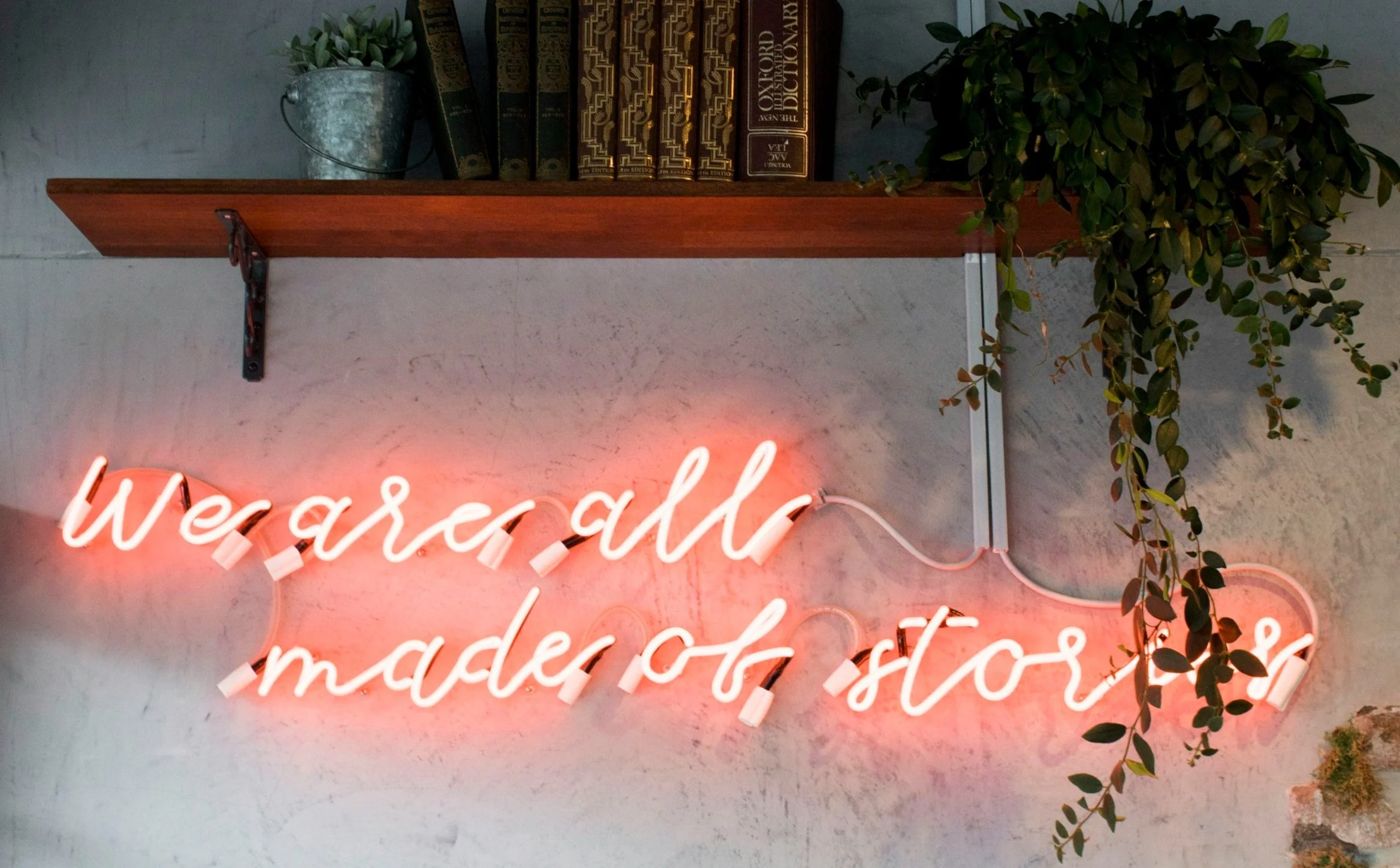 Neon sign in pink that reads 'wear all, made of, store' with a wooden shelf above holding books, a small metal bucket with a plant, and a hanging leafy plant to the right.