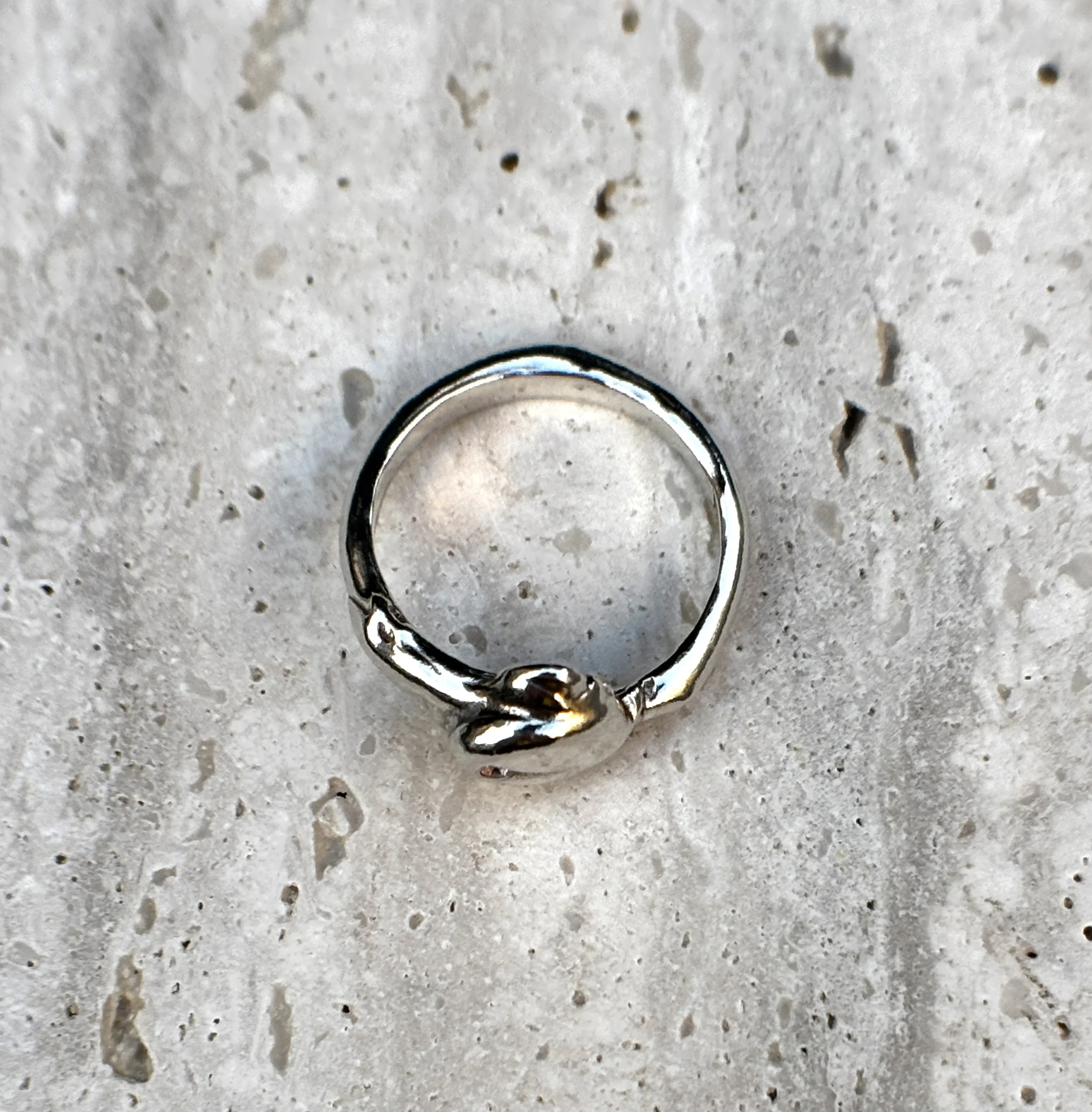 Ring 7.1.jpg