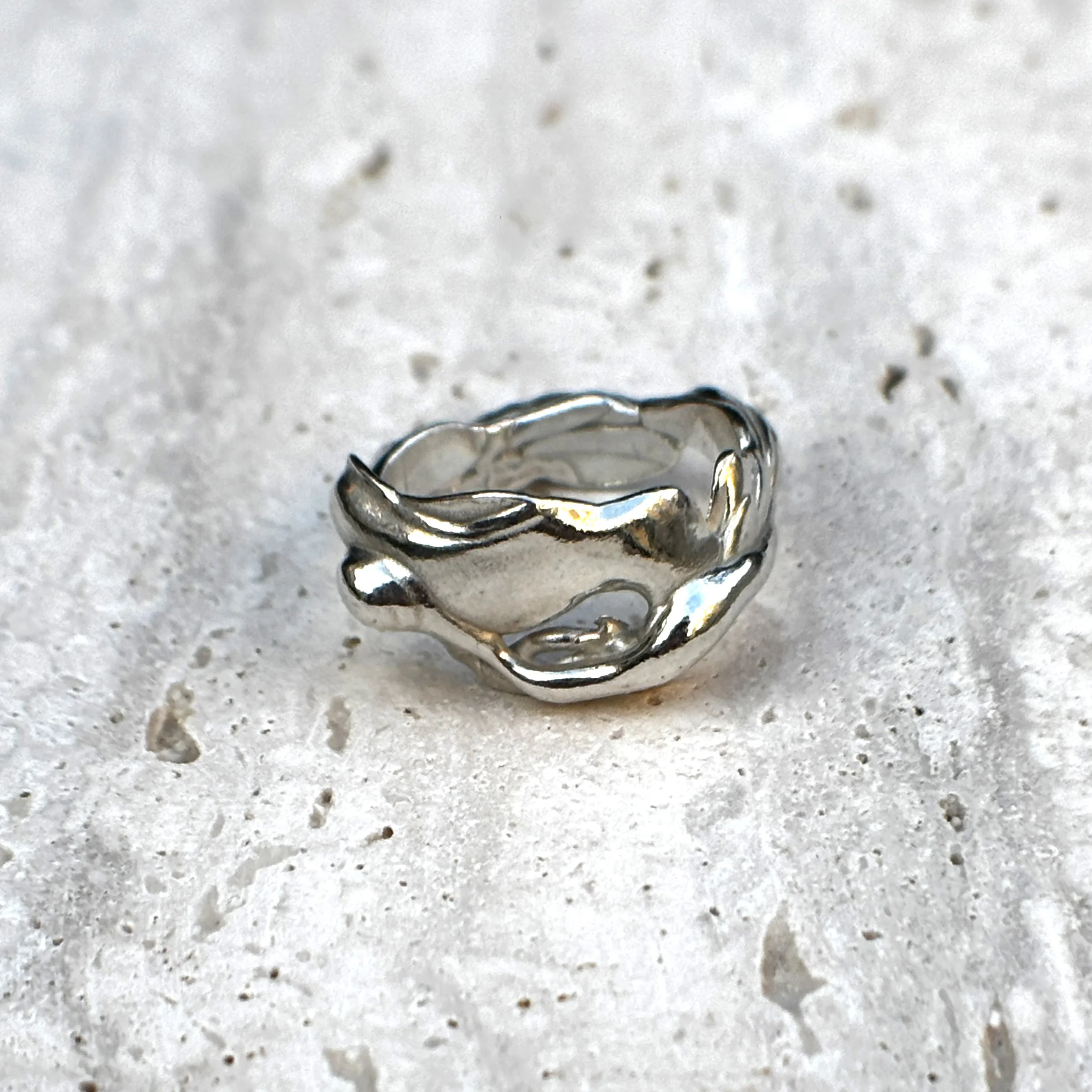 Ring 5.1.jpg