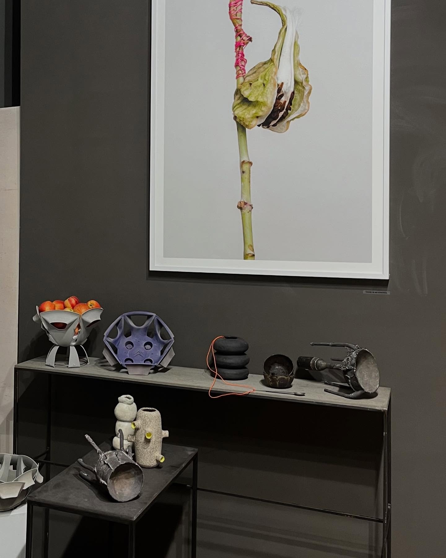 Unsere derzeitige Ausstellung mit dem Schwerpunkt auf Zeichnung von @alexinegood und Fotografie von @margaretefuchs!

&hellip;weitere neue Arbeiten von
@kati.matejcek / Schalen
@knogab / Keramik
@annamaria.argmann / Ringe
@takwekaenders /Stahlskulptu