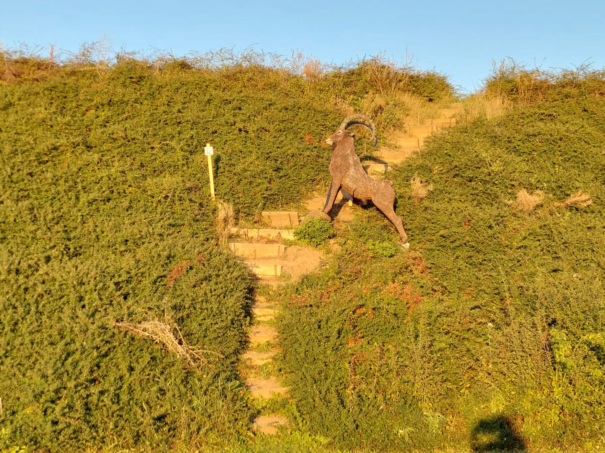 WhatsApp Image 2025-04-08 at 19.17.39 (4).jpeg