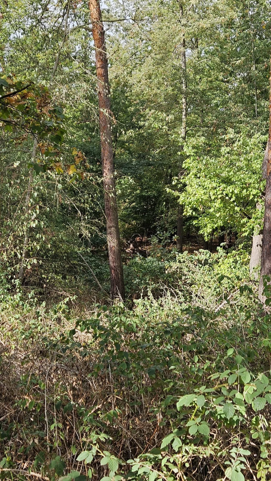 15.jpg