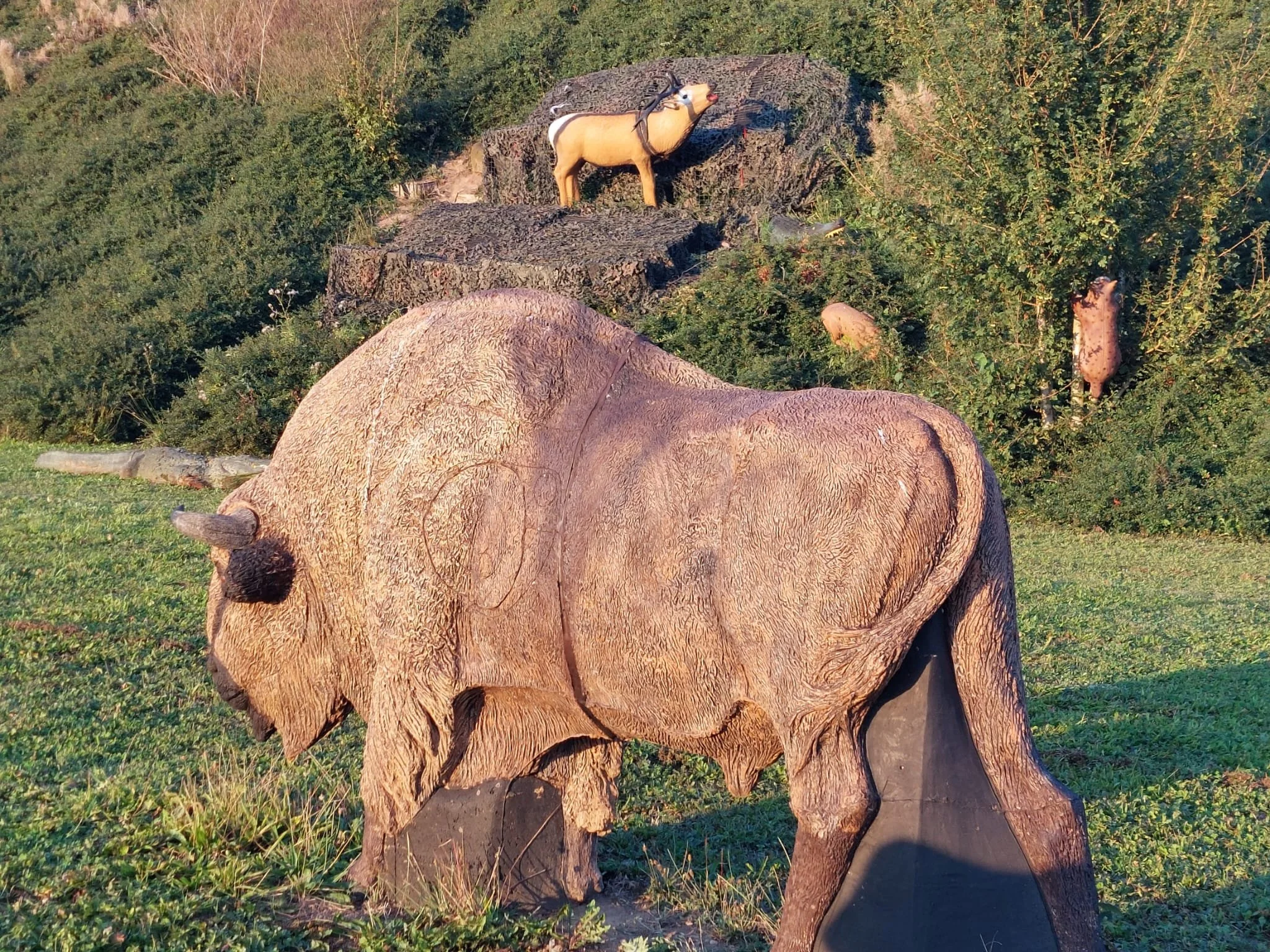 WhatsApp Image 2025-04-08 at 19.17.39 (1).jpeg