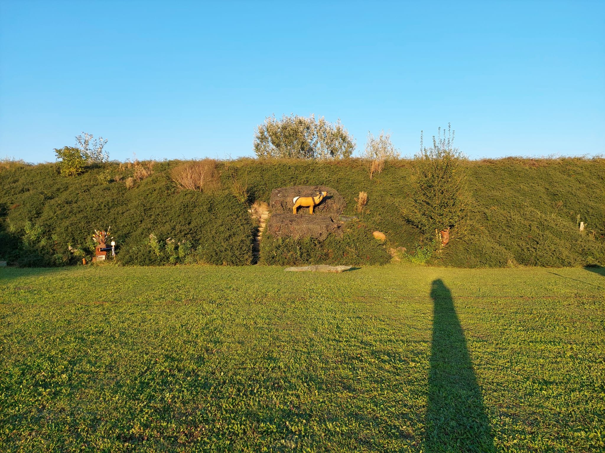 WhatsApp Image 2025-04-08 at 19.17.40 (4).jpeg