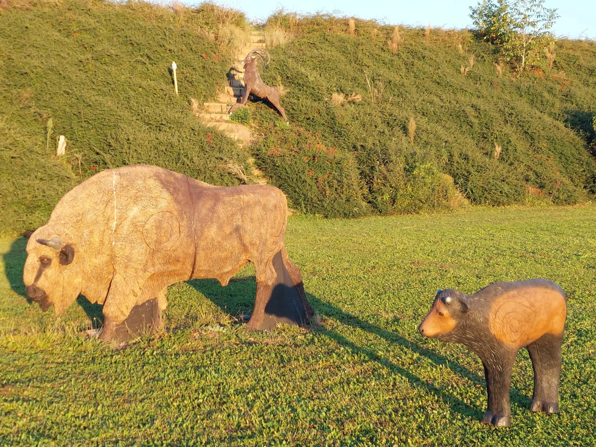 WhatsApp Image 2025-04-08 at 19.17.41 (1).jpeg